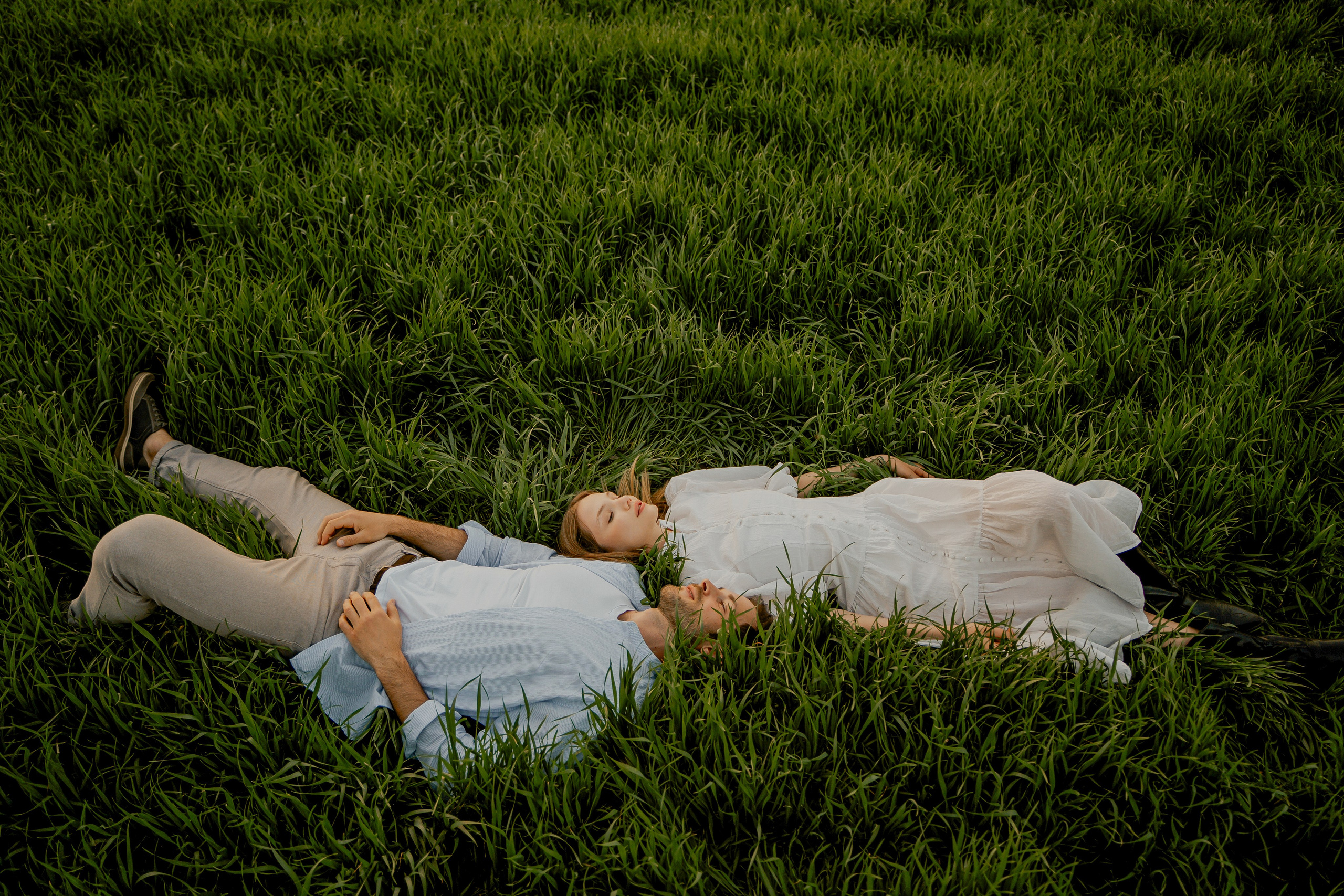 Поле. Фотограф Мария Зайчик