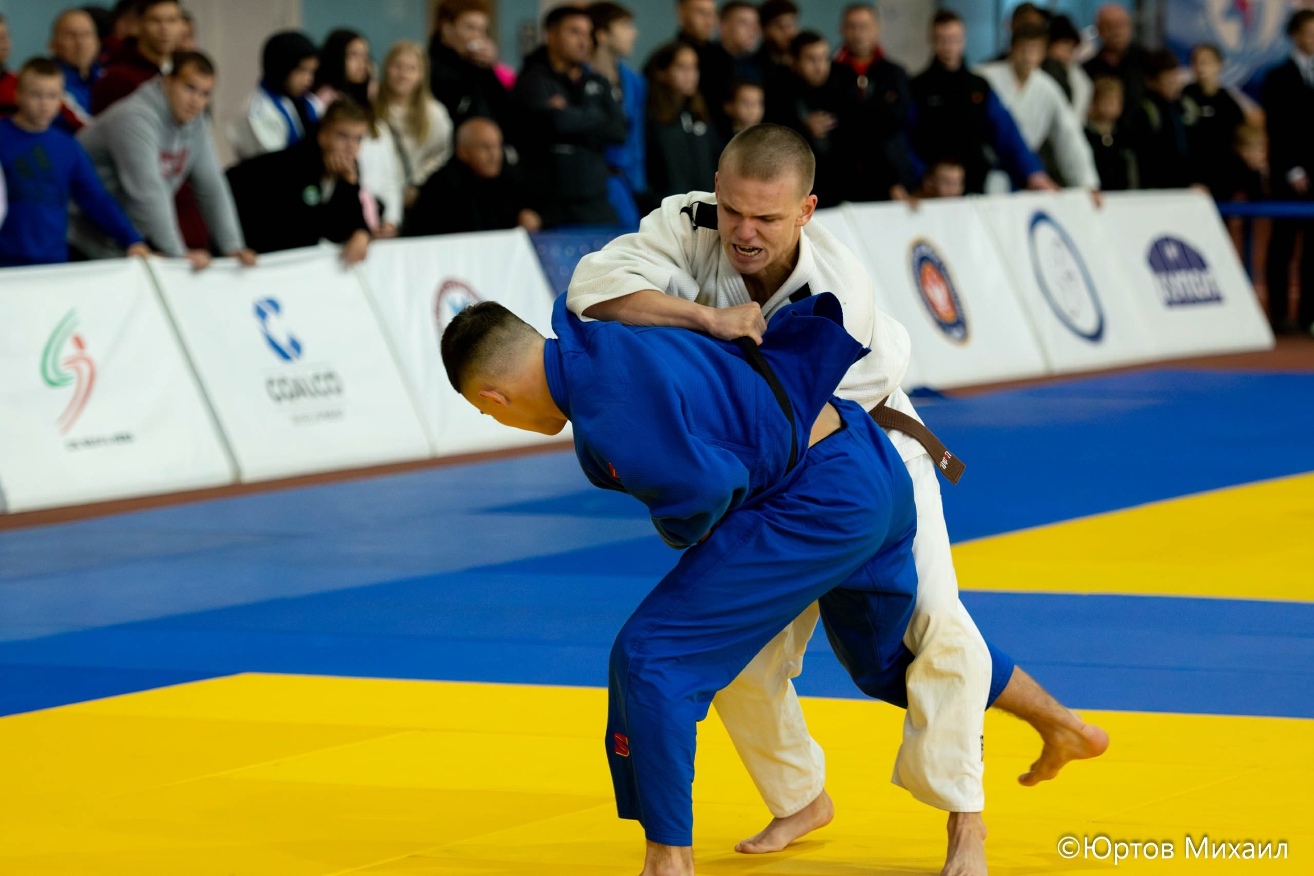 Дзюдо. Спортивный фотограф Михаил Юртов