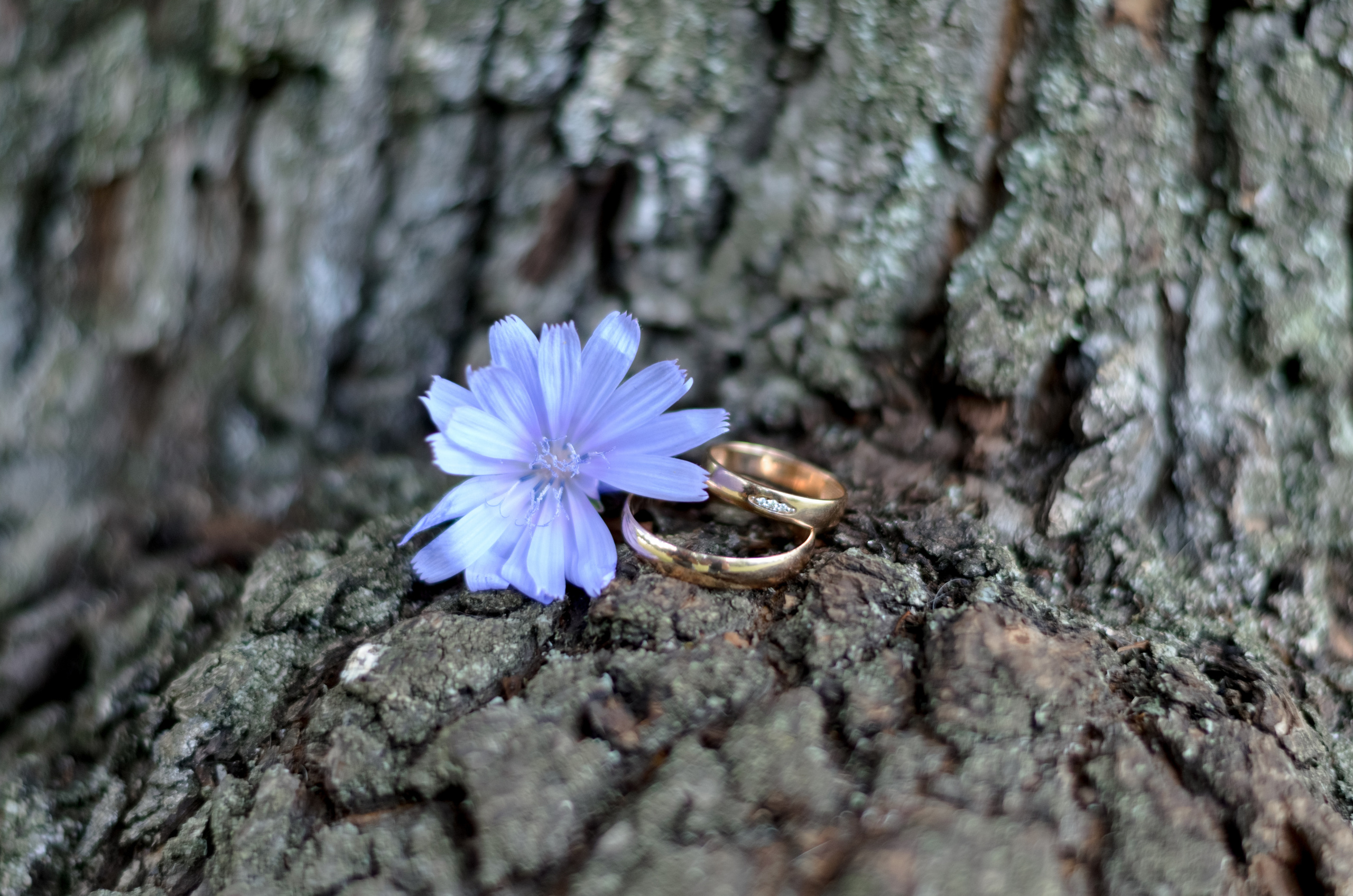 Алексей и Кристина. Семейный и свадебный фотограф в Ельце Юлия Дякина