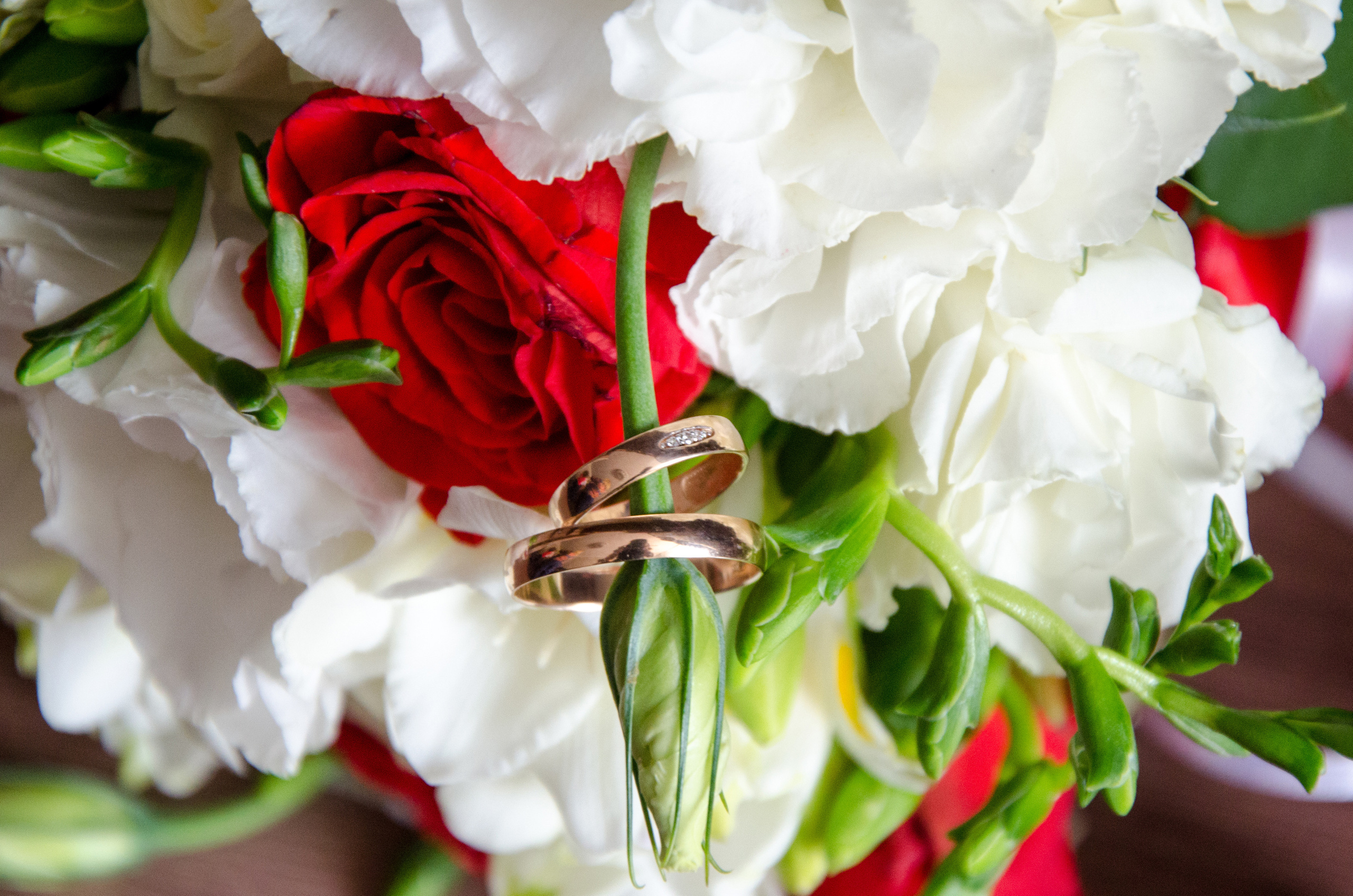 Алексей и Кристина. Семейный и свадебный фотограф в Ельце Юлия Дякина