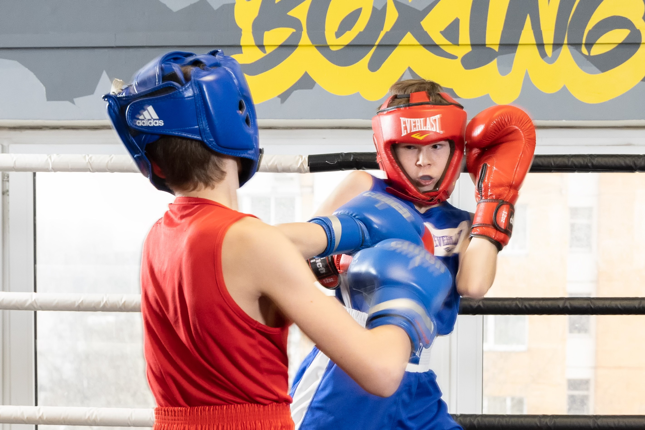 Бокс. Photomantis