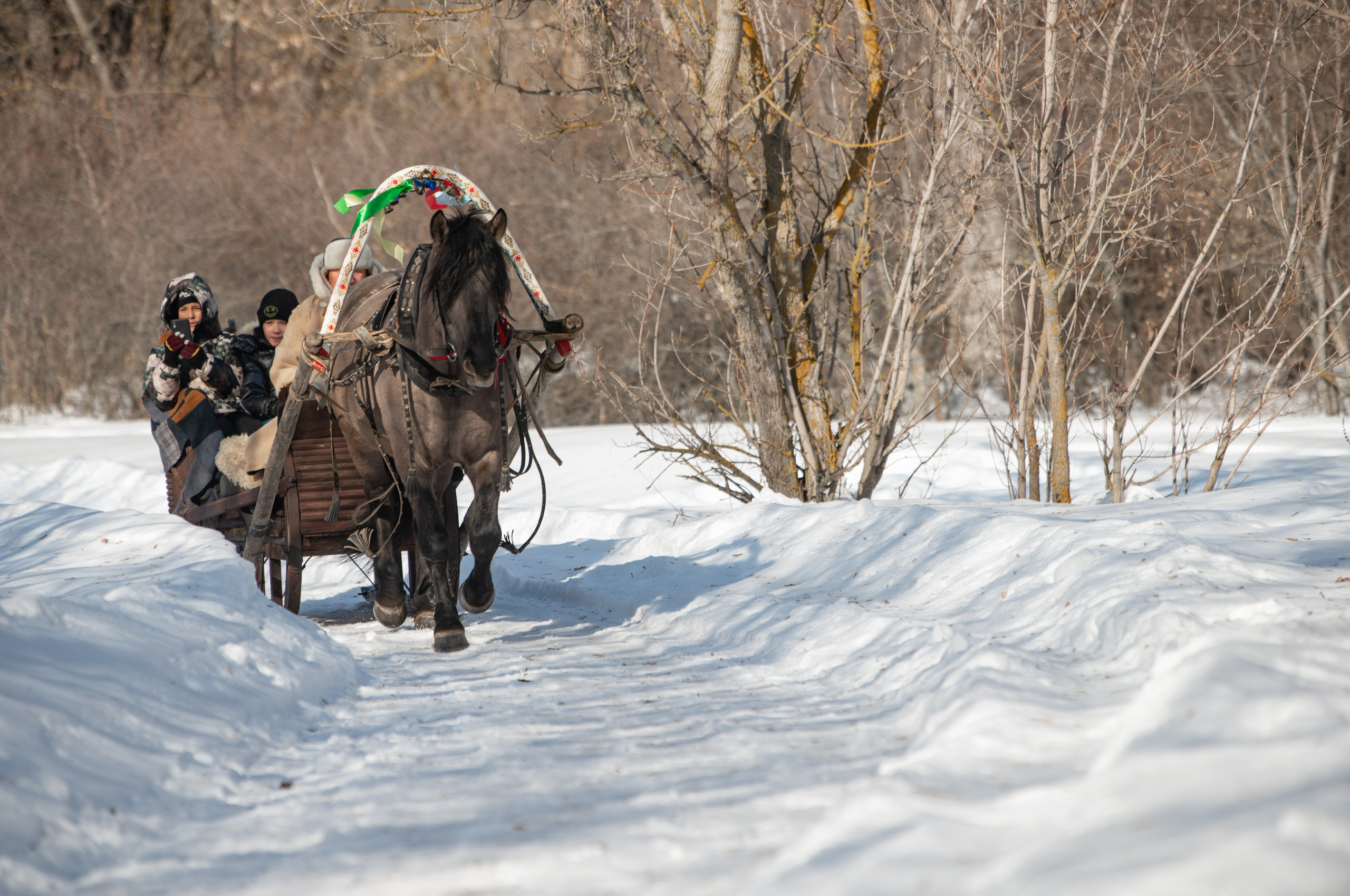 Масленичные гулянья в Боковке. Конный фотограф в Саратове Юлия Иванова