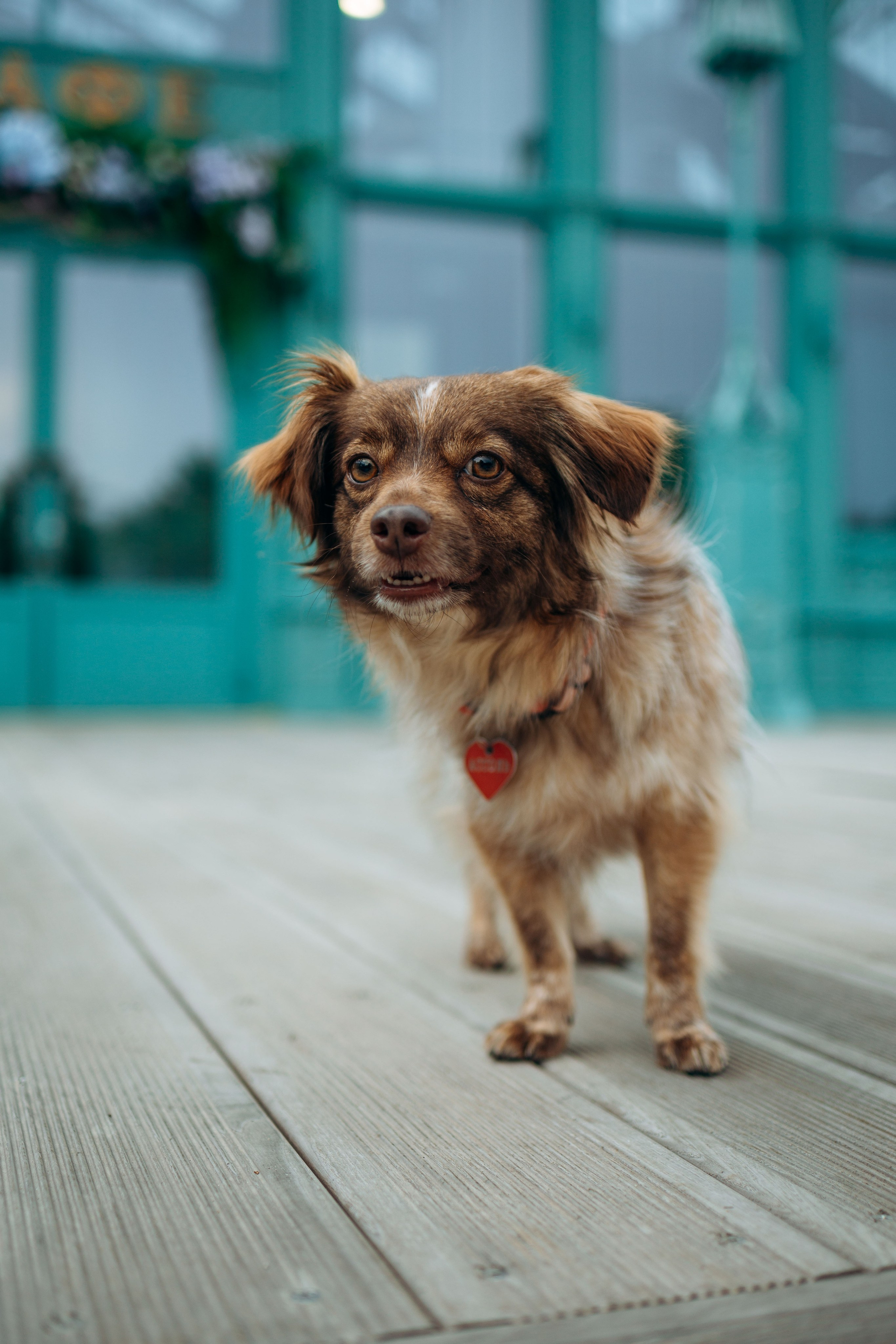 Дарья и Ассоль