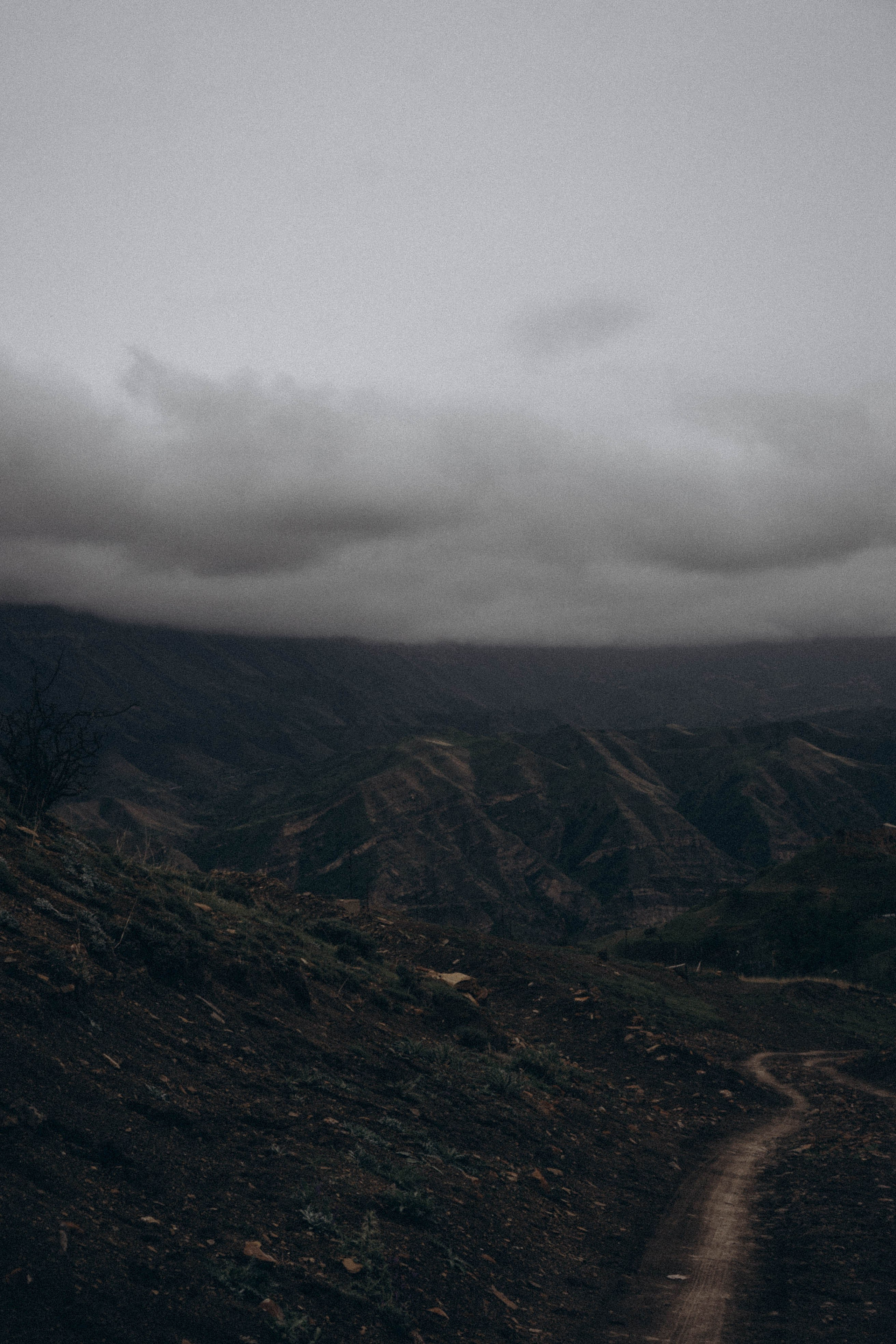 Кавказ. Профессиональный фотограф, Санкт-Петербург — Виктория Богомолова