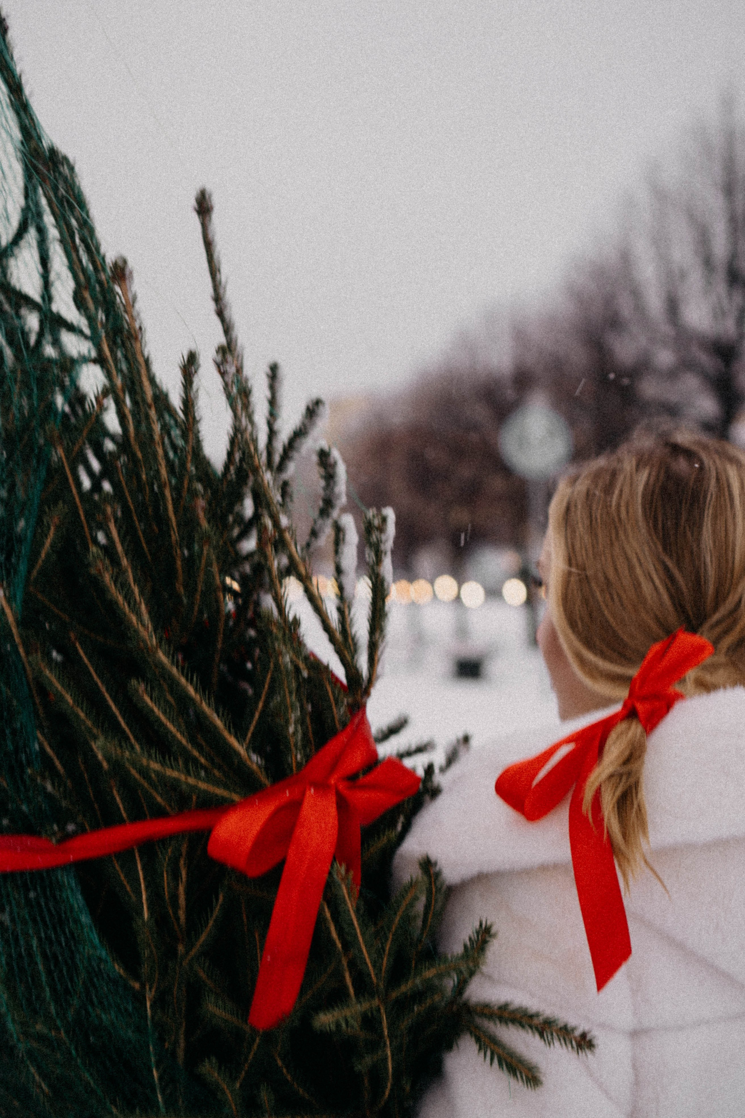 Новогодняя. Профессиональный фотограф, Санкт-Петербург — Виктория Богомолова