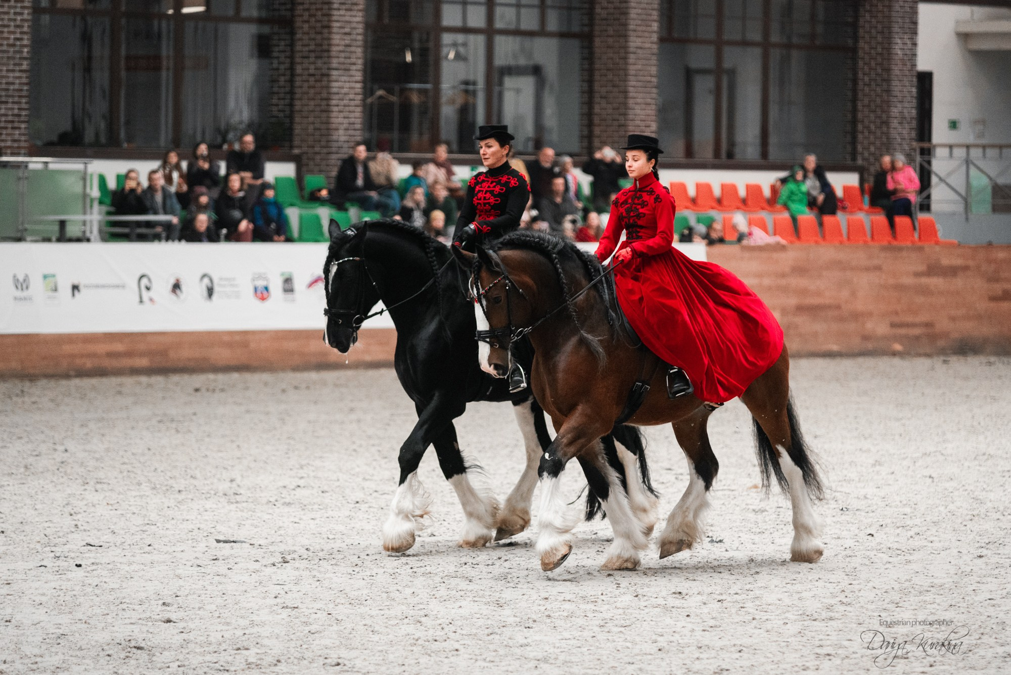 8-я международная выставка Конная Россия. Конный фотограф Куракина Дарья • Фотосессии с лошадьми