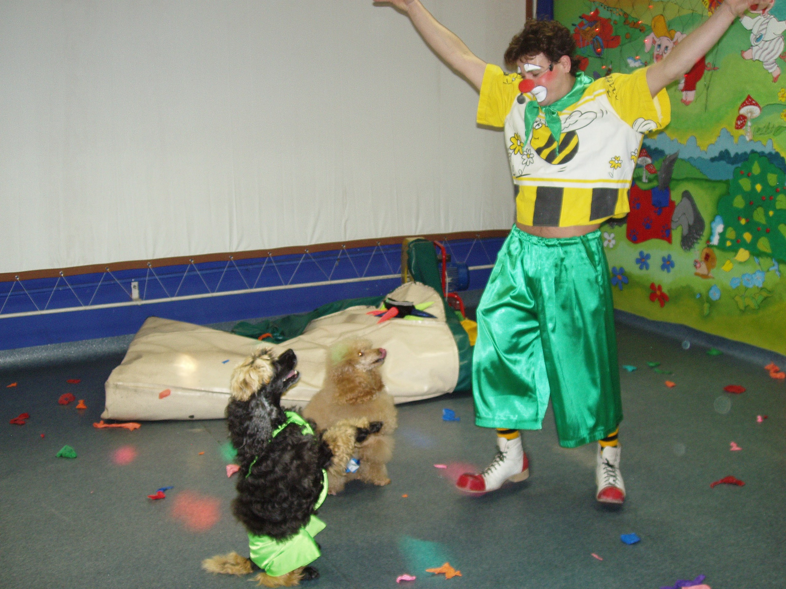 Катя ДР 10 лет Василек 05.12.2009. Семейный, Свадебный фотограф СПБ Питер— Романова Екатерина