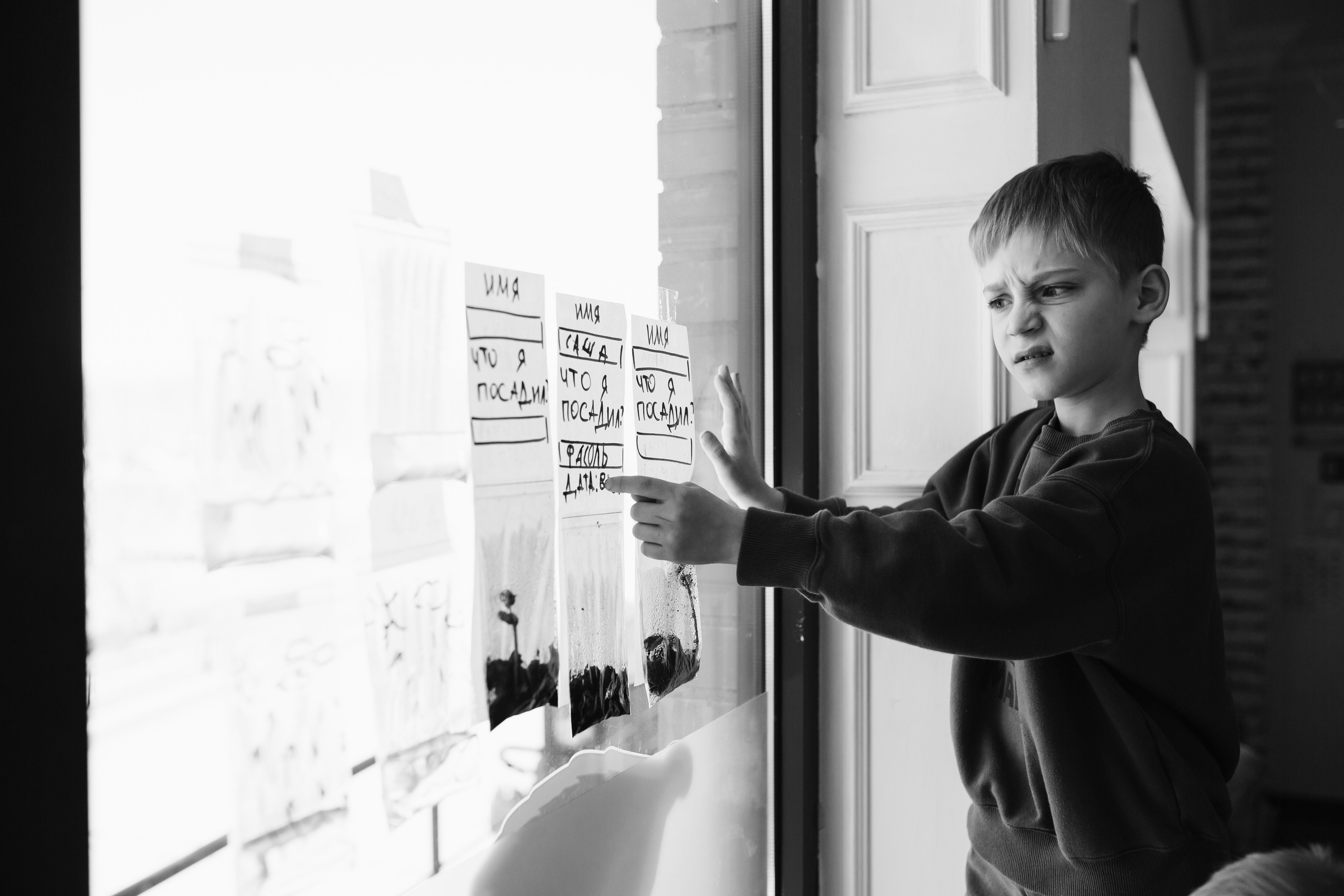 Гнездо. Репортажный фотограф в Санкт-Петербурге и Москве Мария Ежова