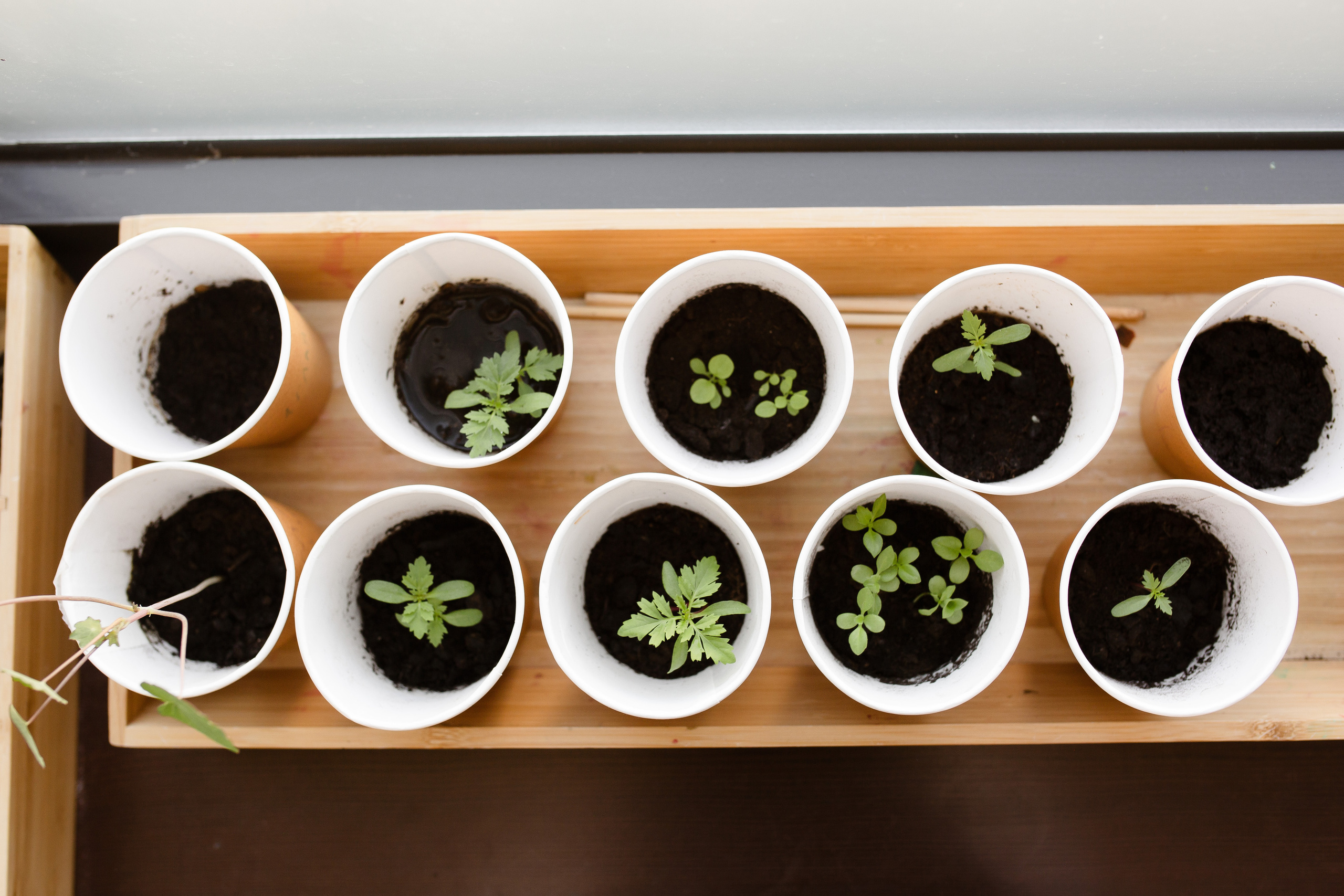 Гнездо. Репортажный фотограф в Санкт-Петербурге и Москве Мария Ежова