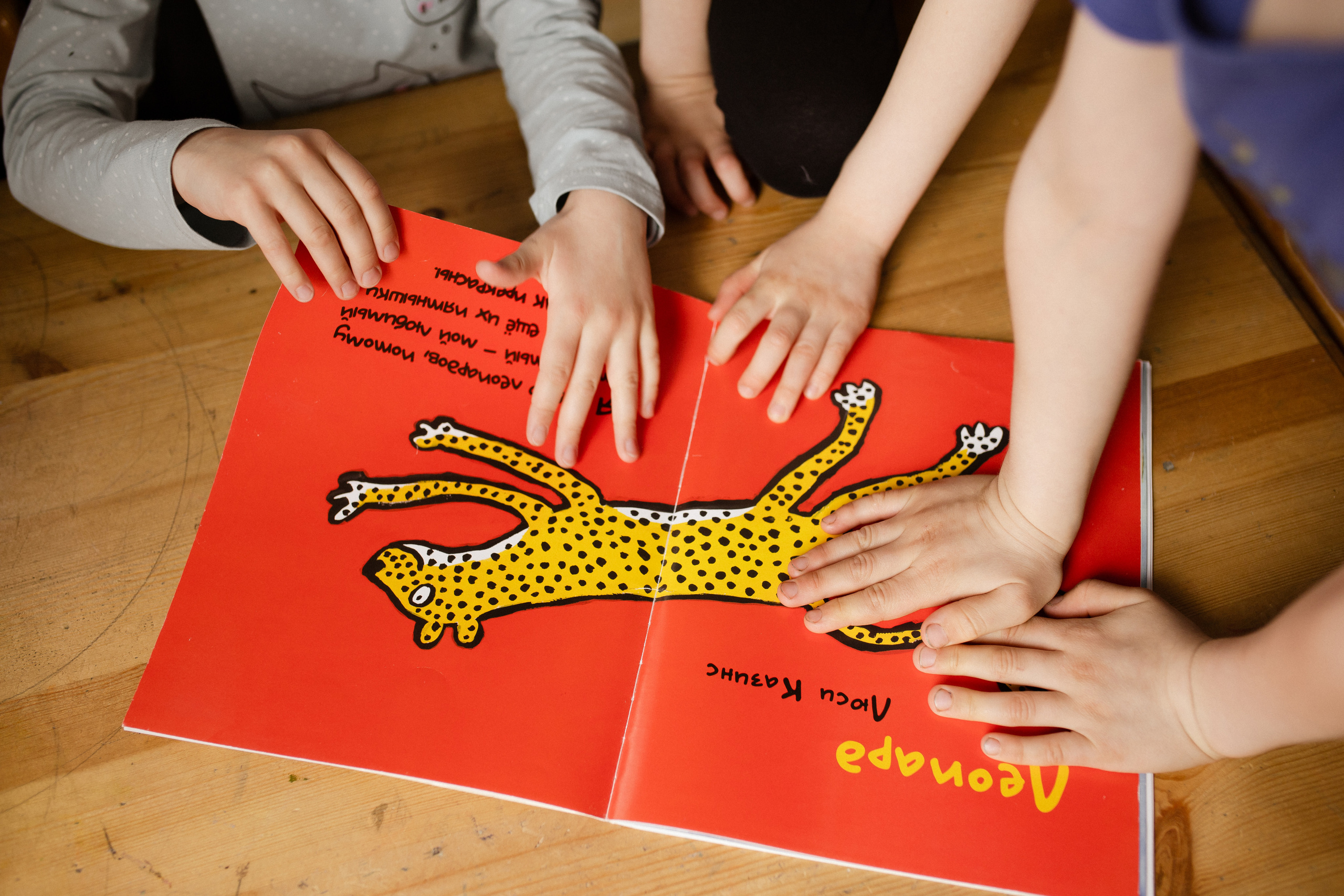 Гнездо. Репортажный фотограф в Санкт-Петербурге и Москве Мария Ежова