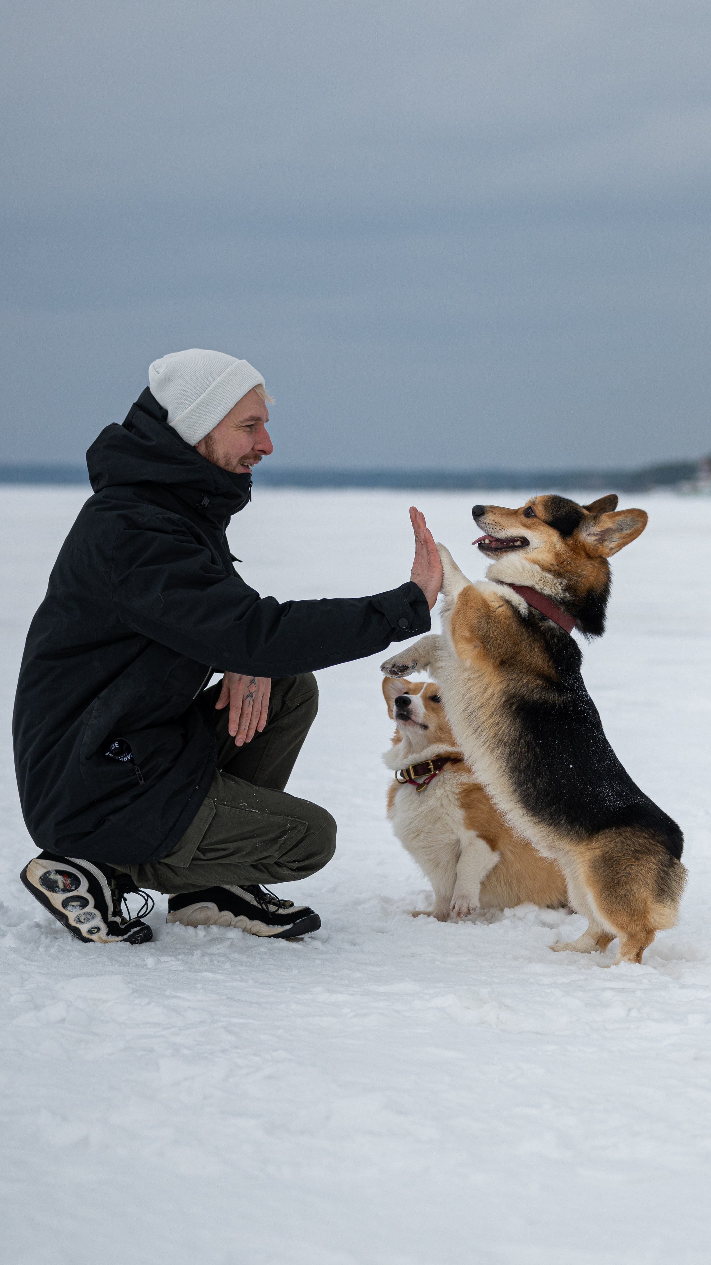 Вы и ваши питомцы. Фотограф в Санкт-Петербурге Александра Ладыгина