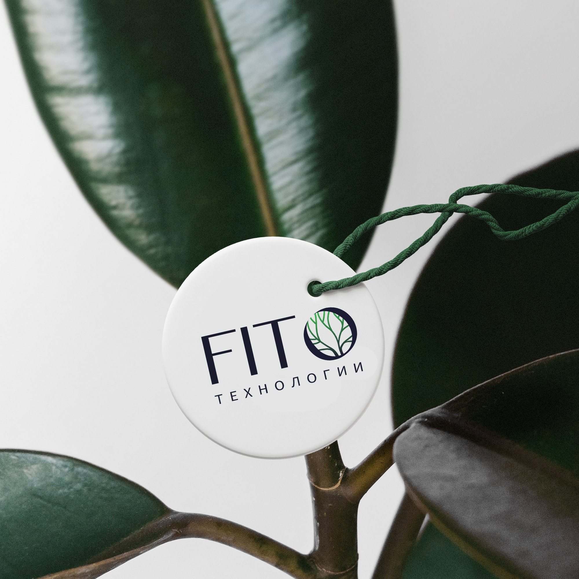 Логотипы. Графический дизайн и ретушь фотографий, Москва