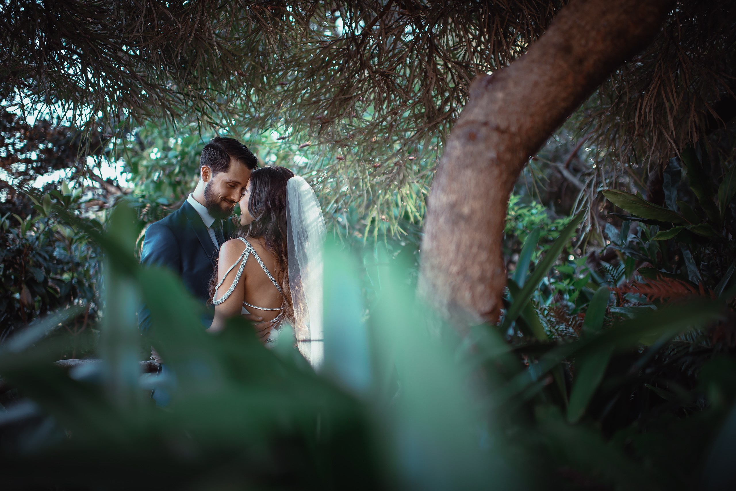 Цветокоррекция в Lightroom