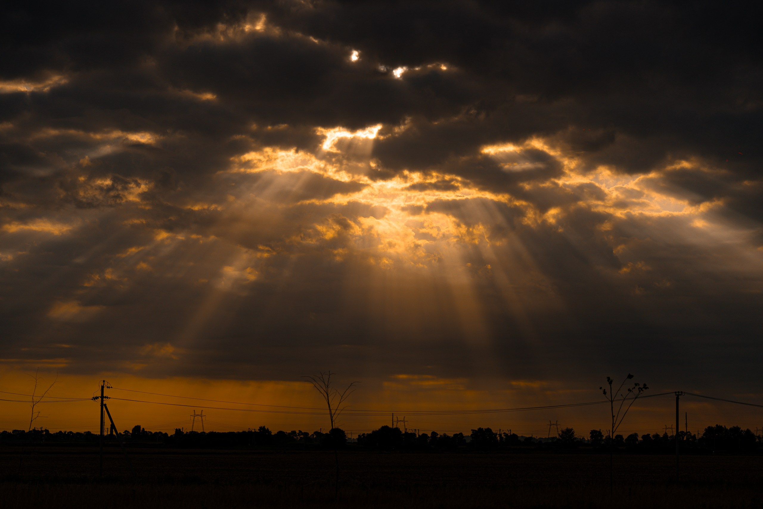 Street. ФОТОГРАФ ИВАН НОВИКОВ | СТАВРОПОЛЬ