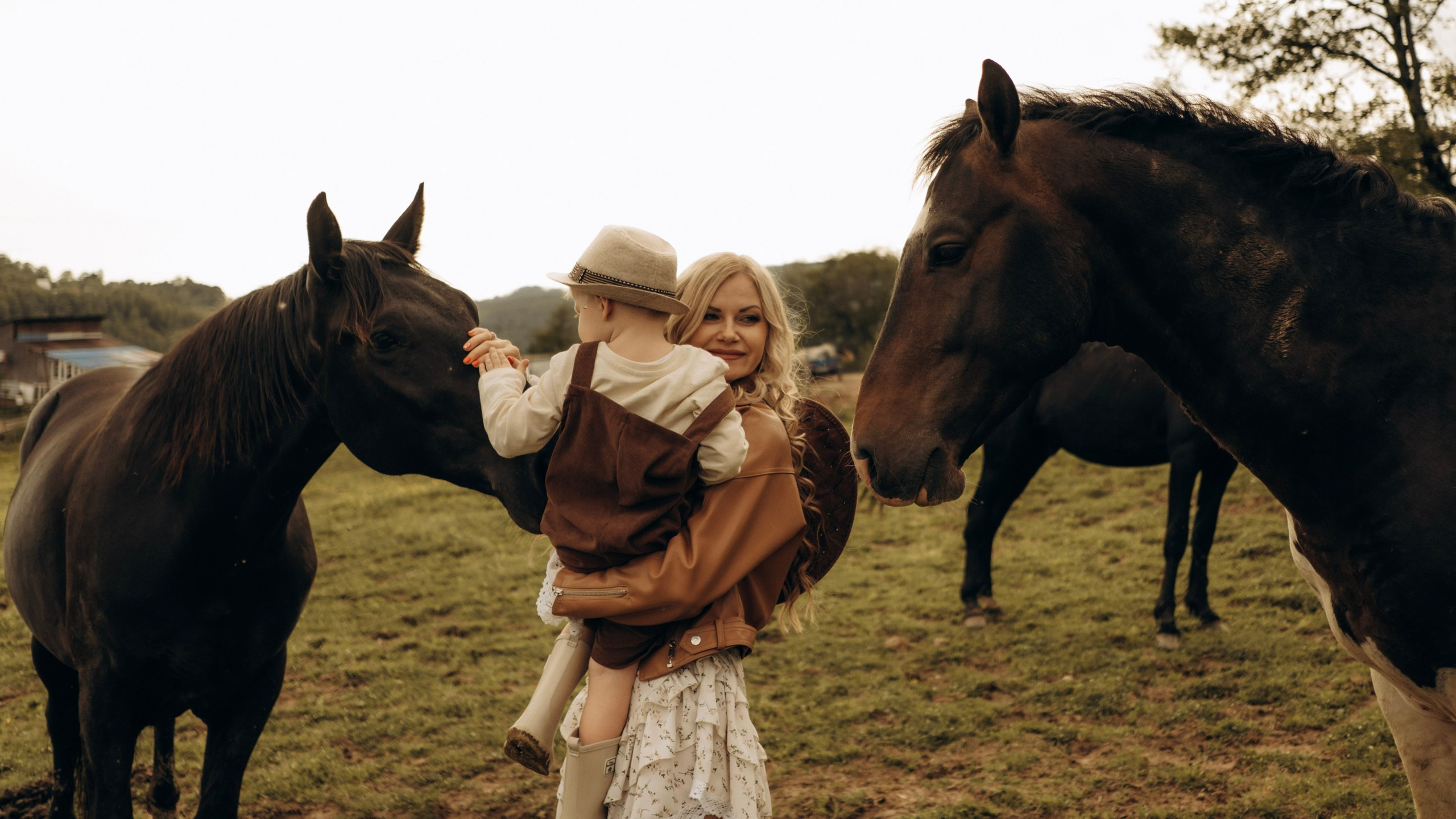 Конюшня. Главная