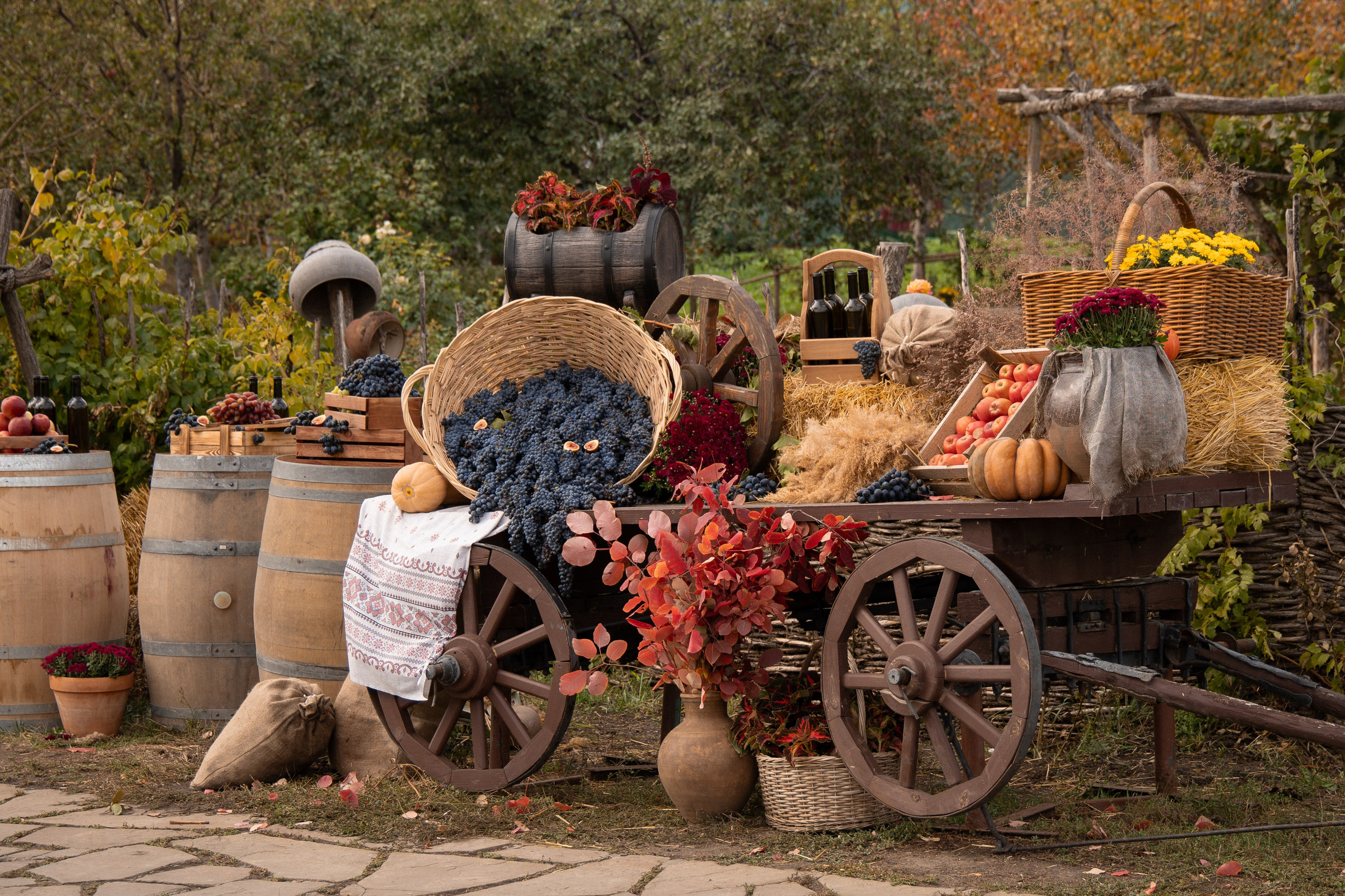 «Красностопъ Золотовский» третий винный фестиваль. Анна Рышкевич
