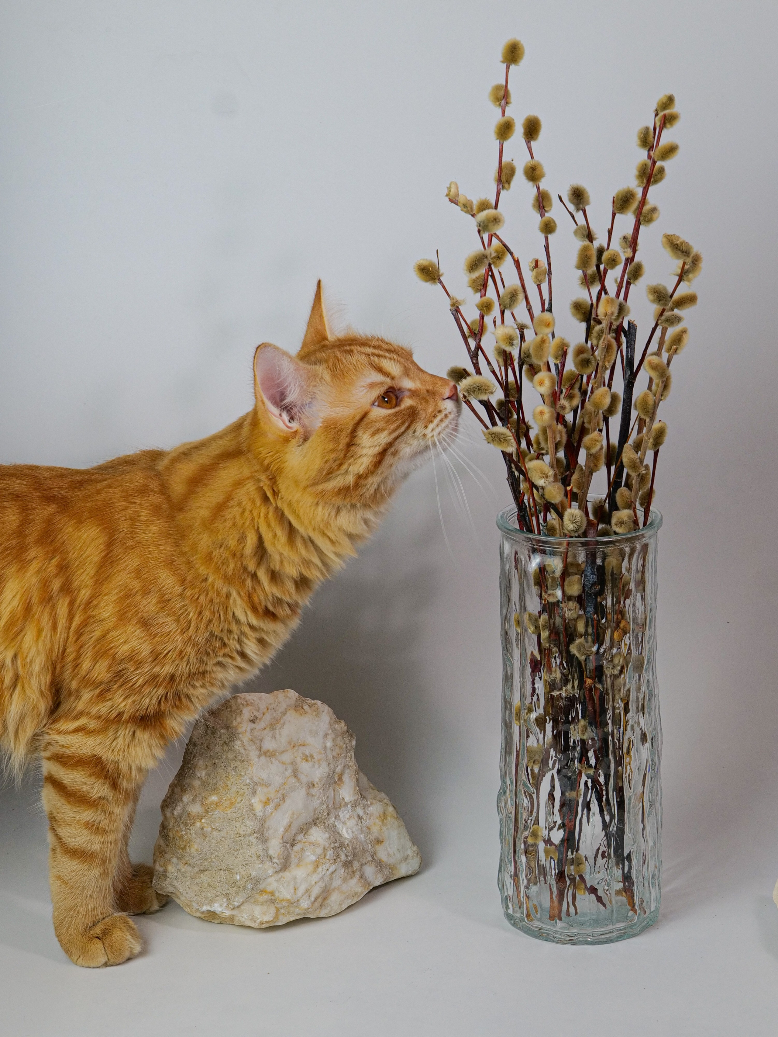 Предметы интерьера, маркетплейсы. Ольга Семенова, фотограф для всех возрастов, предметная и бизнес-фотография, редактор цифрового контента из Самары, Россия