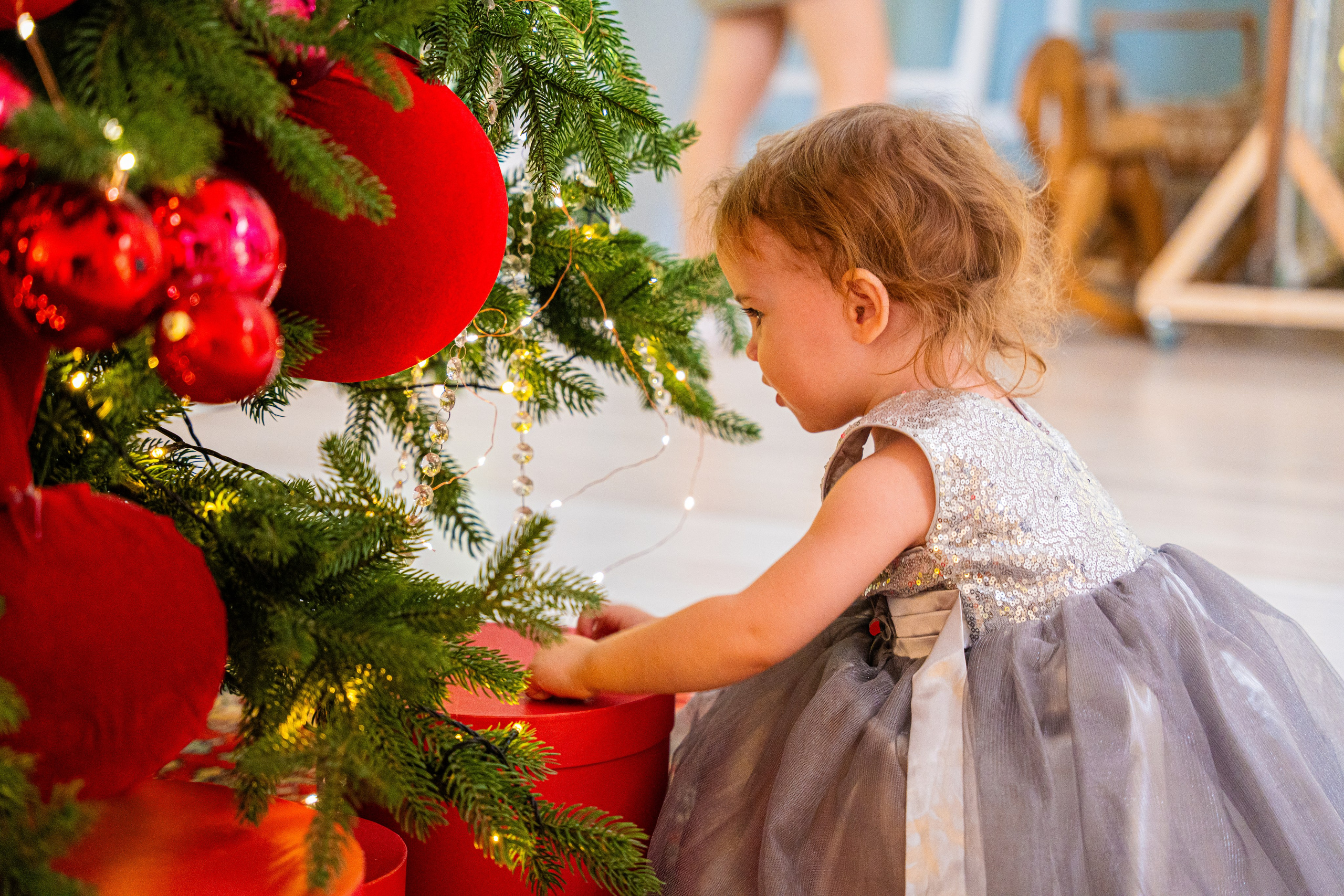 Виктория и Александр. Семейная фотосессия (2). Шедевры для Вас! Фотограф и Видеограф в Краснодаре Пахиев Руслан