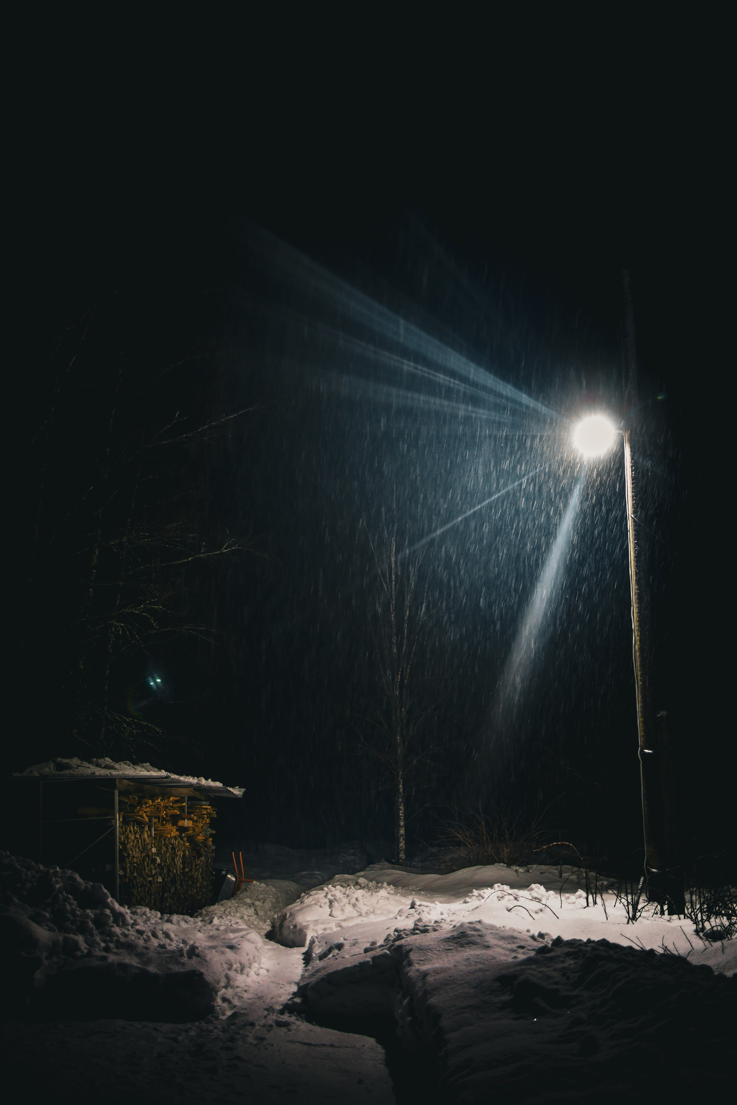 Природа &. Фотохудожник в СПб