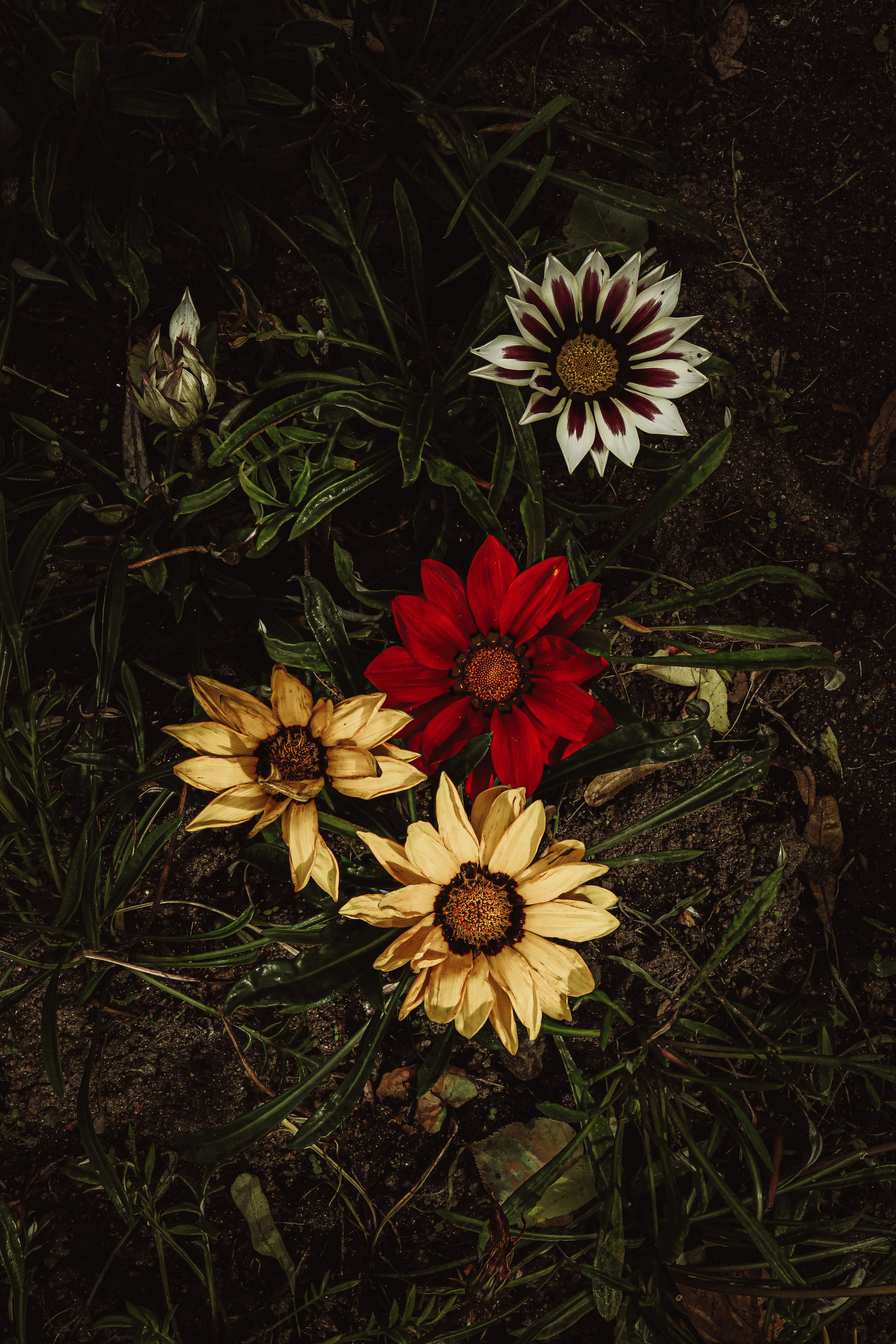 Природа &. Фотохудожник в СПб