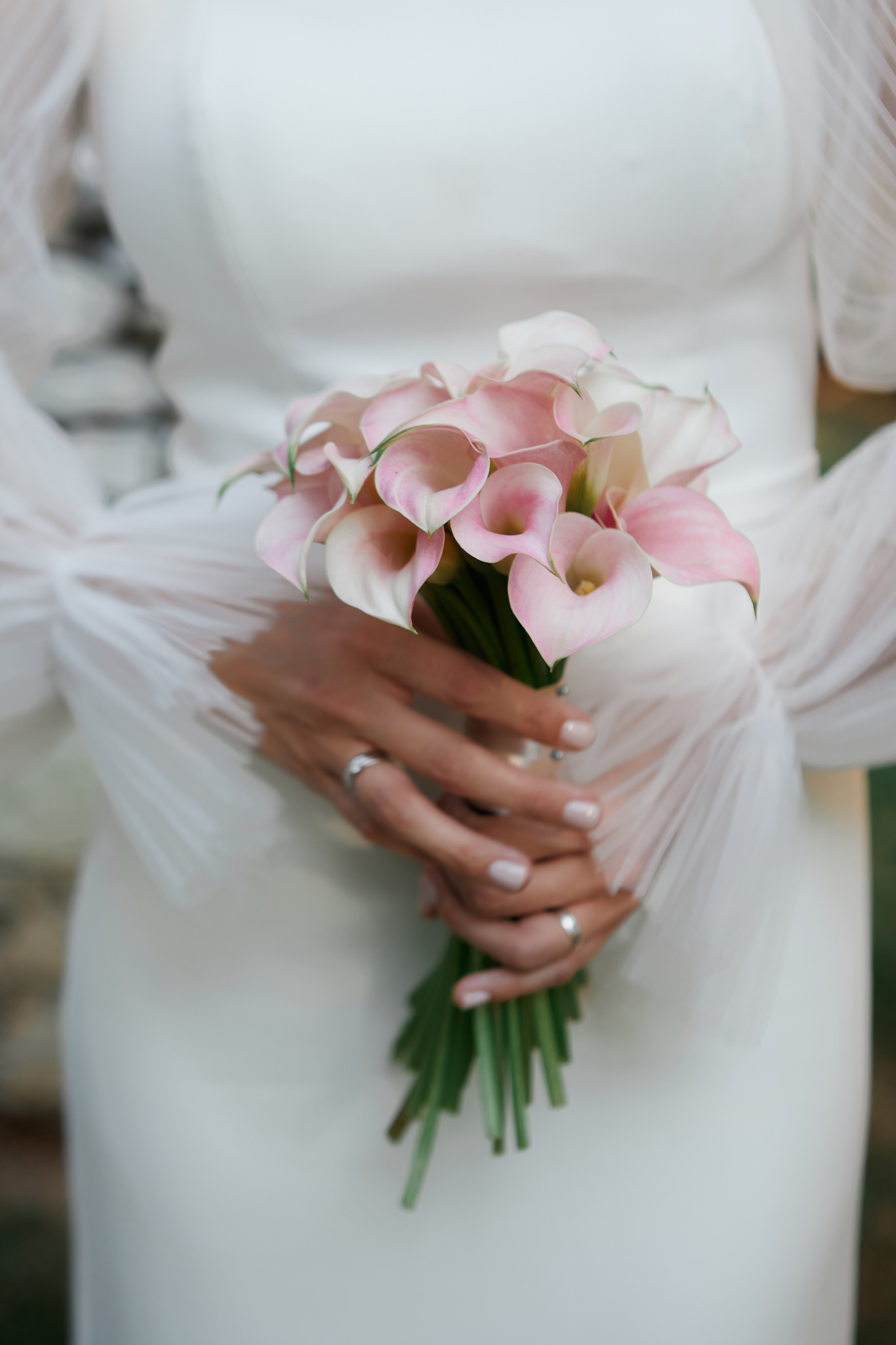 Фотограф Сочи фотограф в Сочи фотосессия в Сочи фотосессия Сочи фотосессия Красная поляна фотограф Красная поляна Фотограф Адлер Визажист Сочи Визажист в Сочи свадьба в Сочи рестораны Сочи девушки укладка макияж мейк  сочи рестораны путешествия wedding in the mountains Новогодние фотосессии семейная фотосессия на море лошади конные прогулки в Сочи. Фотосессия с лошадью. Фотосессия в горах. Крещение фотограф Сочи. выписка из роддома сочи. Репортажная съёмка Сочи. Фотограф день рождения Сочи. Женский портрет. Детская фотосессия Сочи. Свадебный фотограф Сочи невеста жених