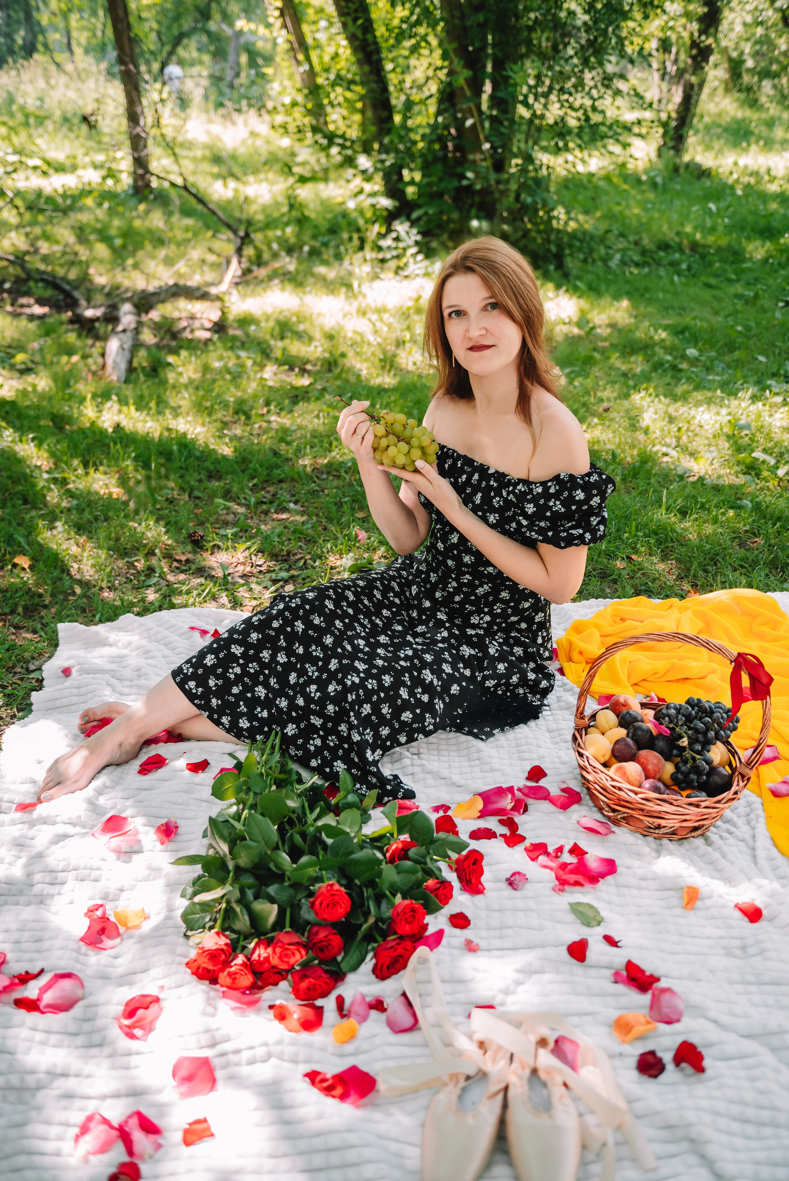 LEVITA (пикник)