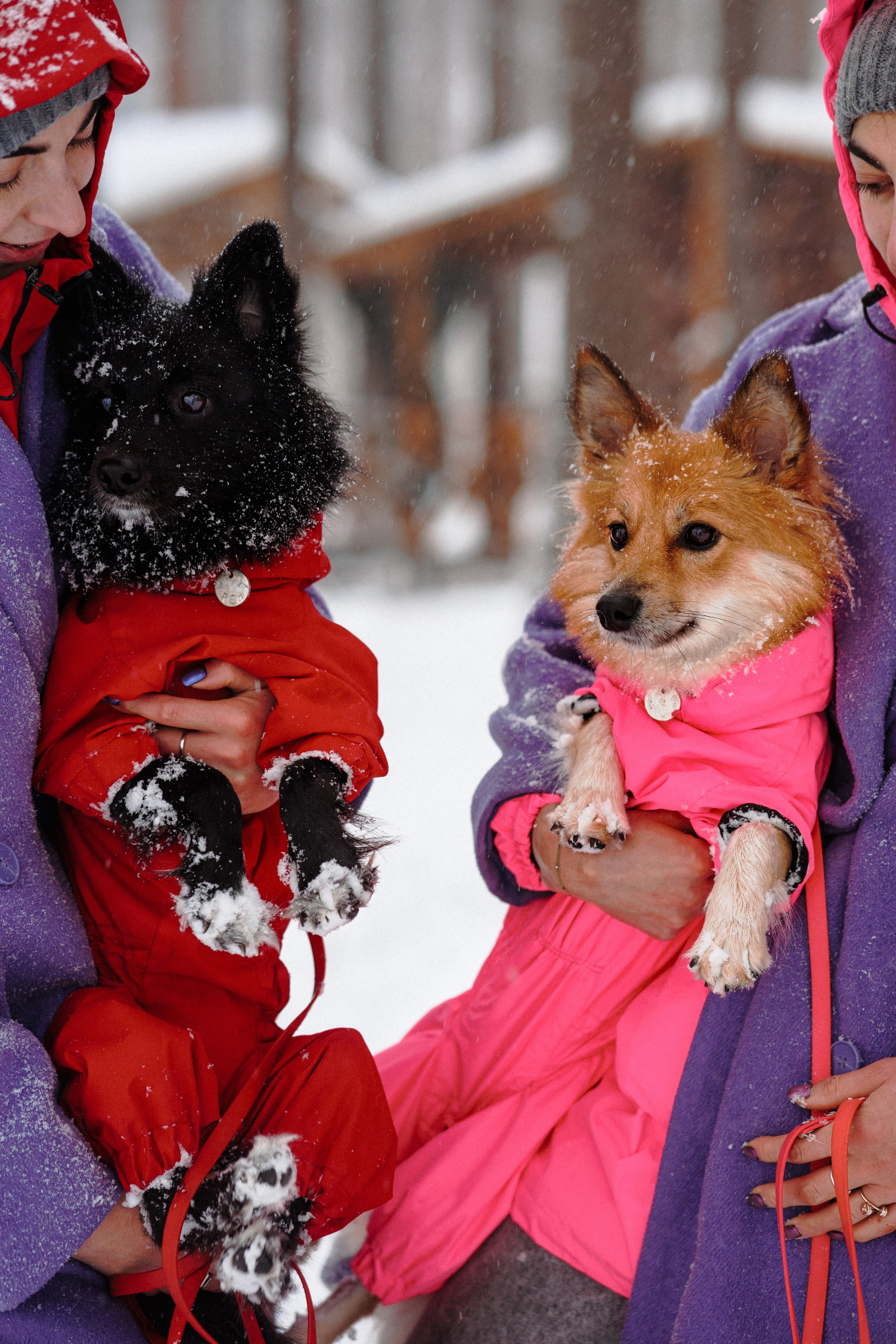 Сестры. Фотограф в Санкт-Петербурге Алёна Губинская