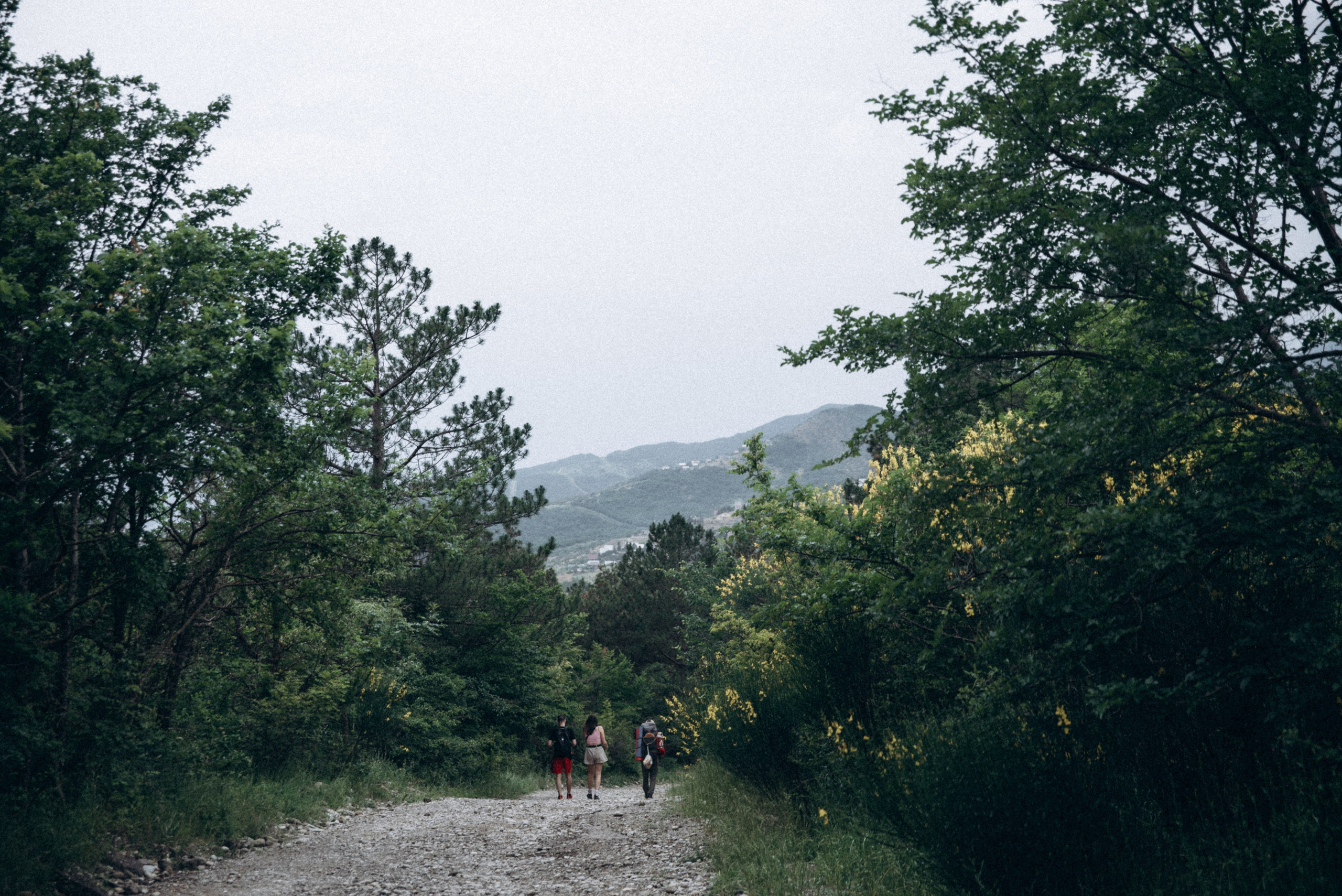 Медвежий приют, Мамкода, Грузия 🇬🇪 «Honey Trip». Anita_photo