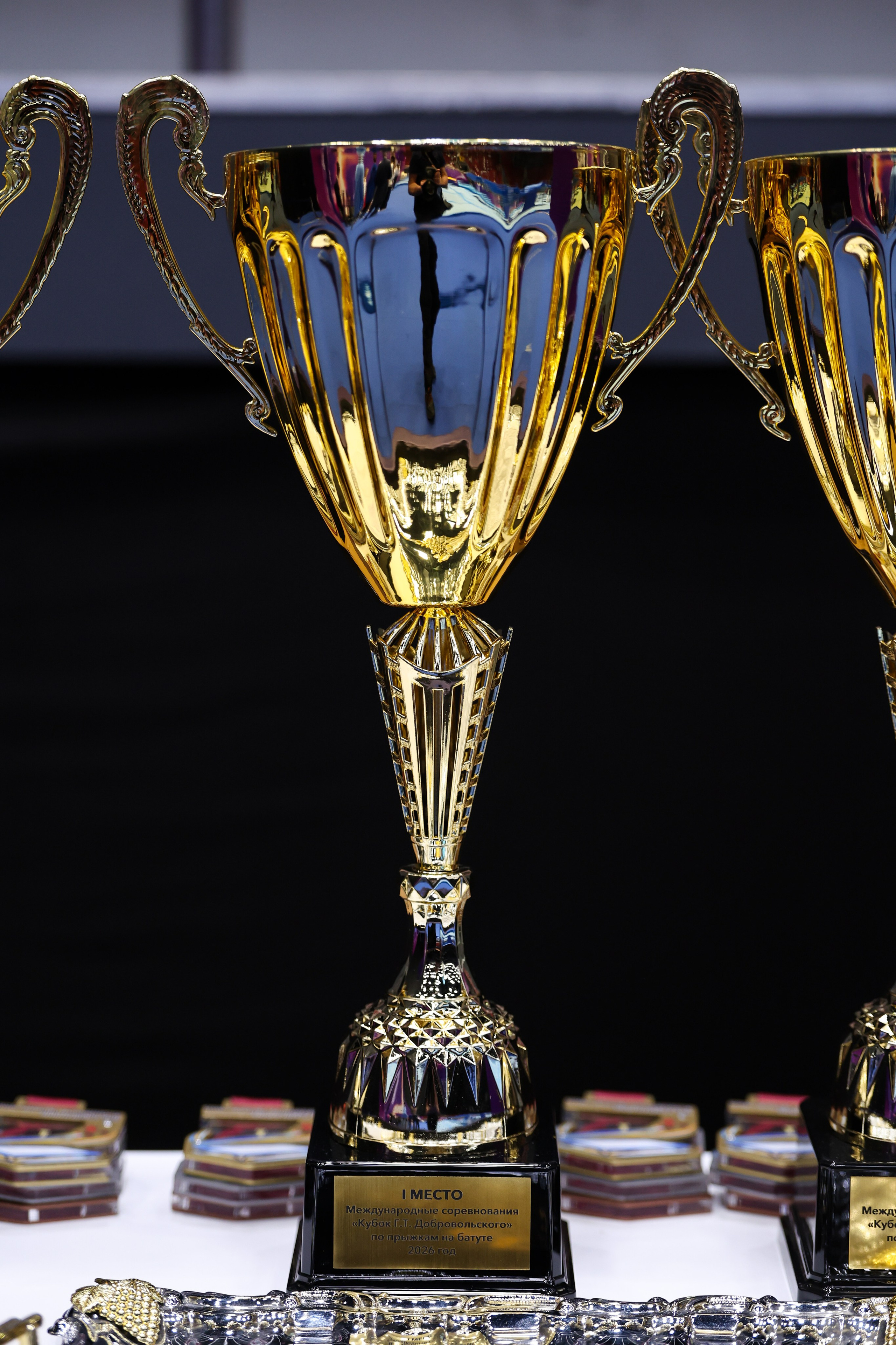 «Кубок Г. Т. Добровольского» по прыжкам на батуте 26-28.05.2026. Спортивный и репортажный фотограф Антон Тереханов