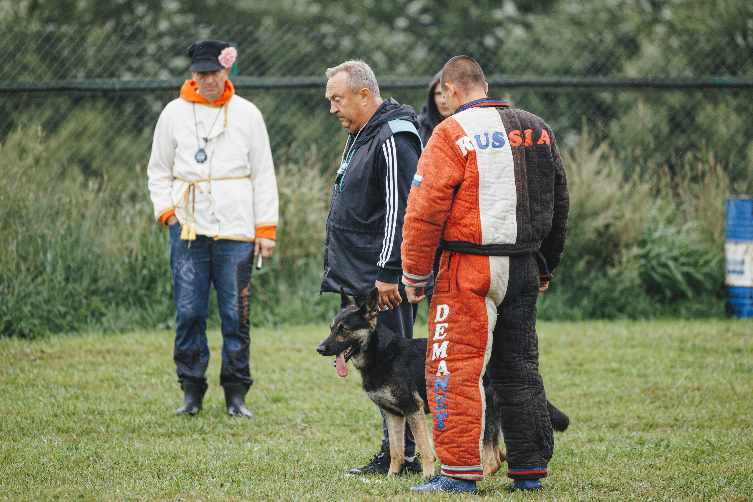 08.08.25-10.08.25 ЧР по мондьорингу г. Вологда. Фотограф-анималист Анна Маринич