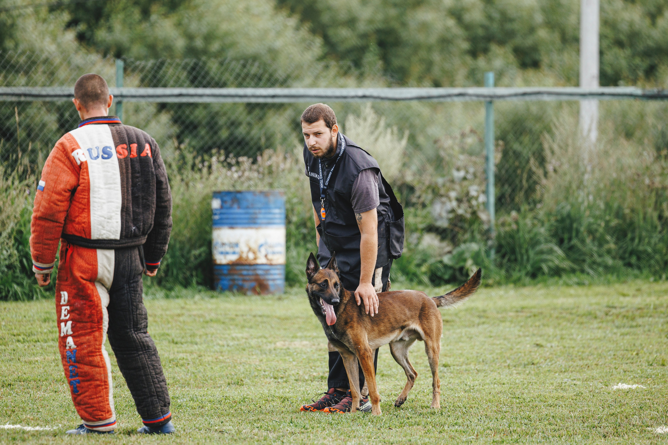08.08.25-10.08.25 ЧР по мондьорингу г. Вологда. Фотограф-анималист Анна Маринич