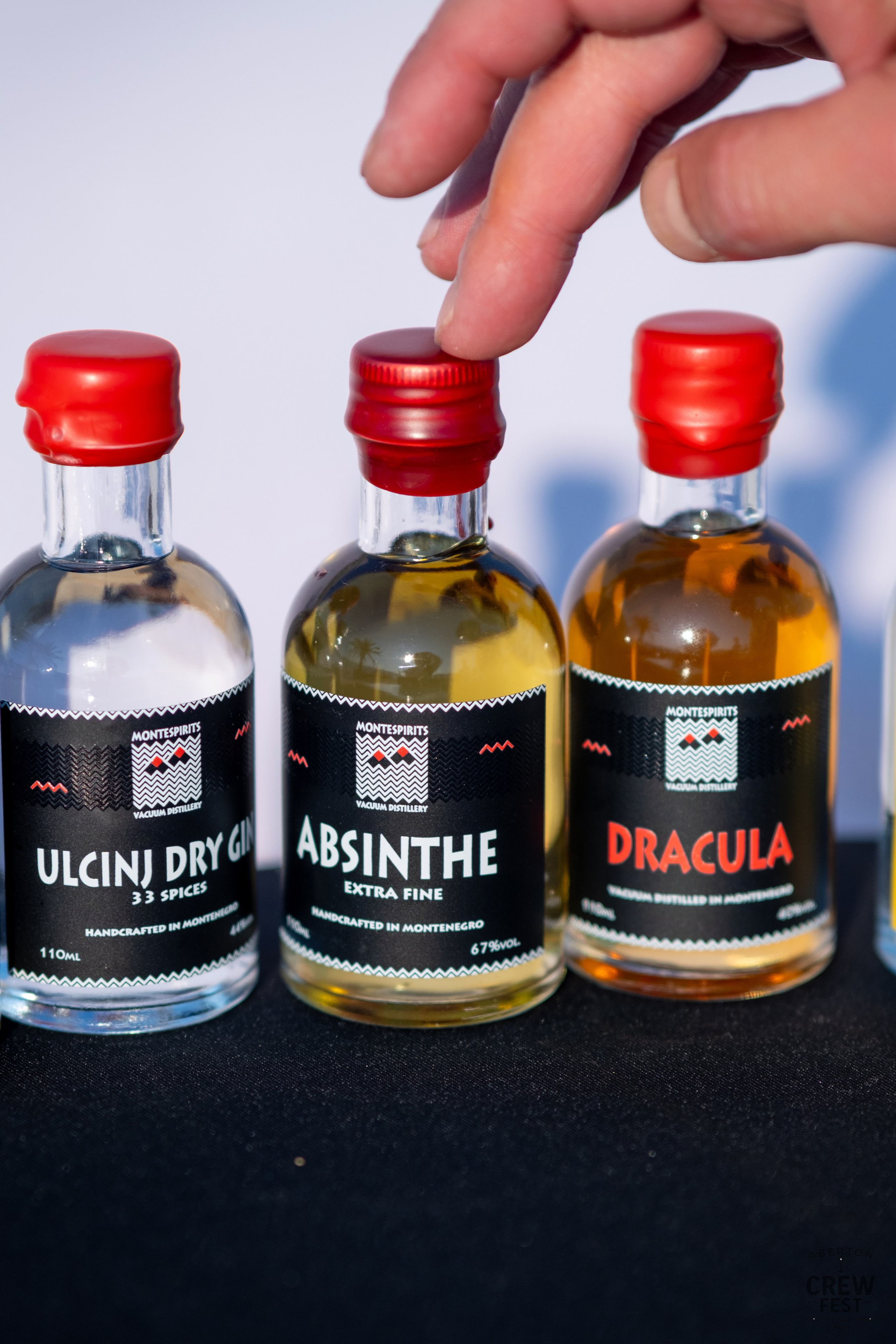 Aberton Crew Fest. Family and wedding photographer in Montenegro