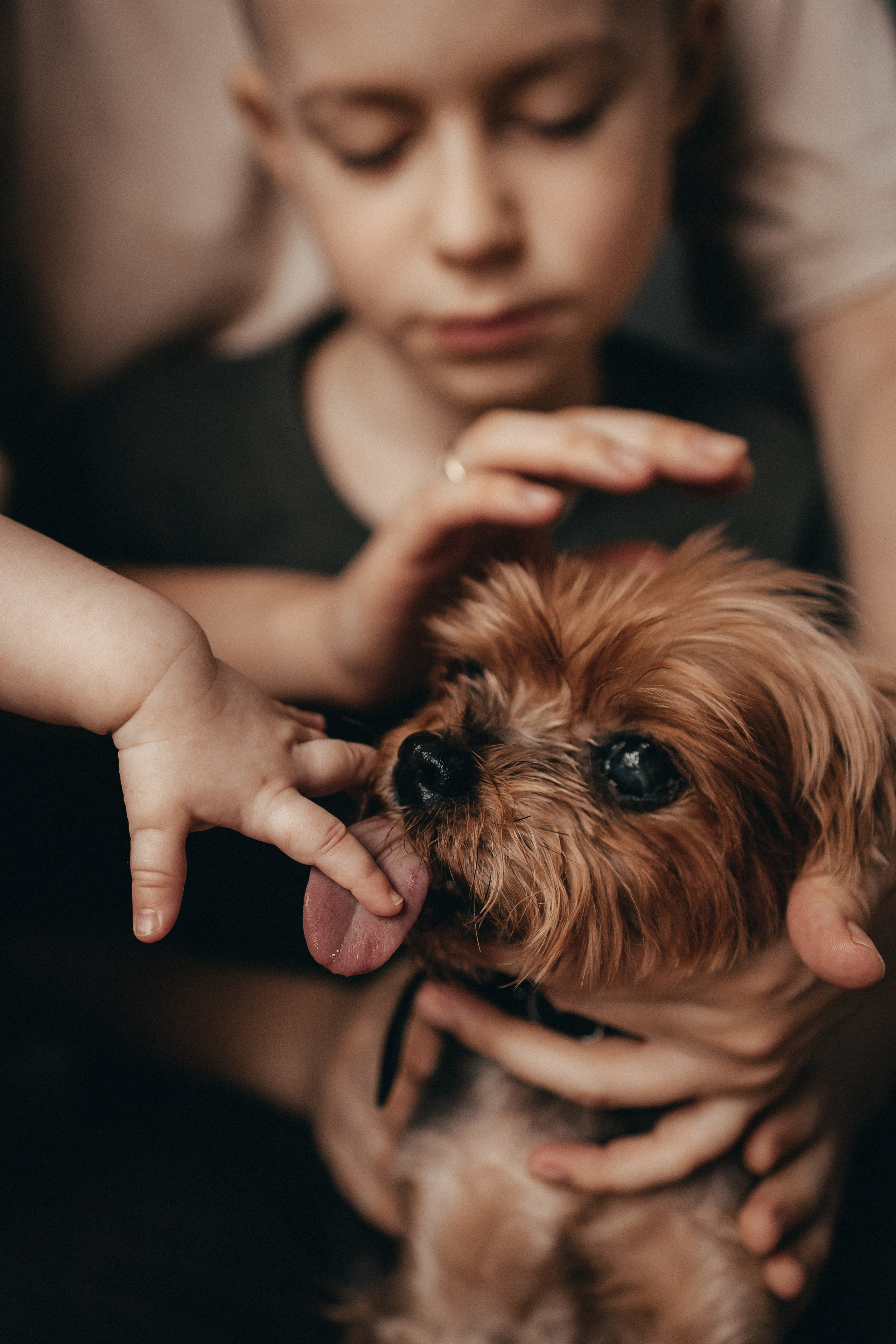 Семейная домашняя фотосессия с детьми. Семейный фотограф в Москве, Щелково, Фрязино _ Виктория Степанова