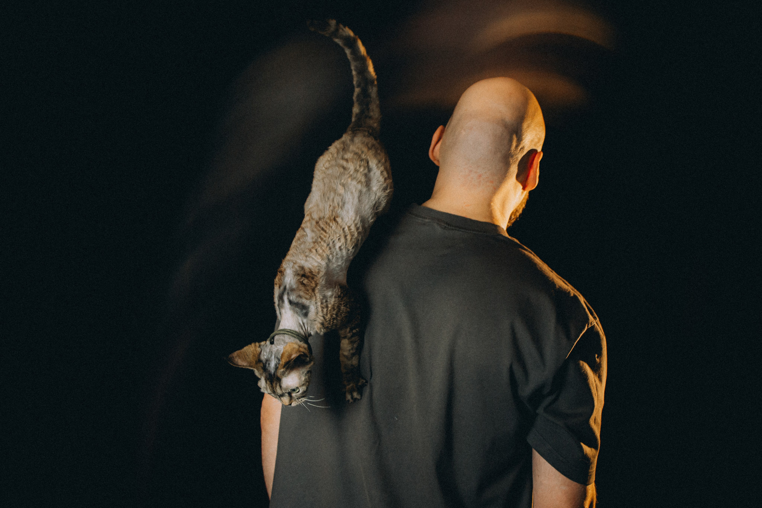 Гречка, Ковш и их семья