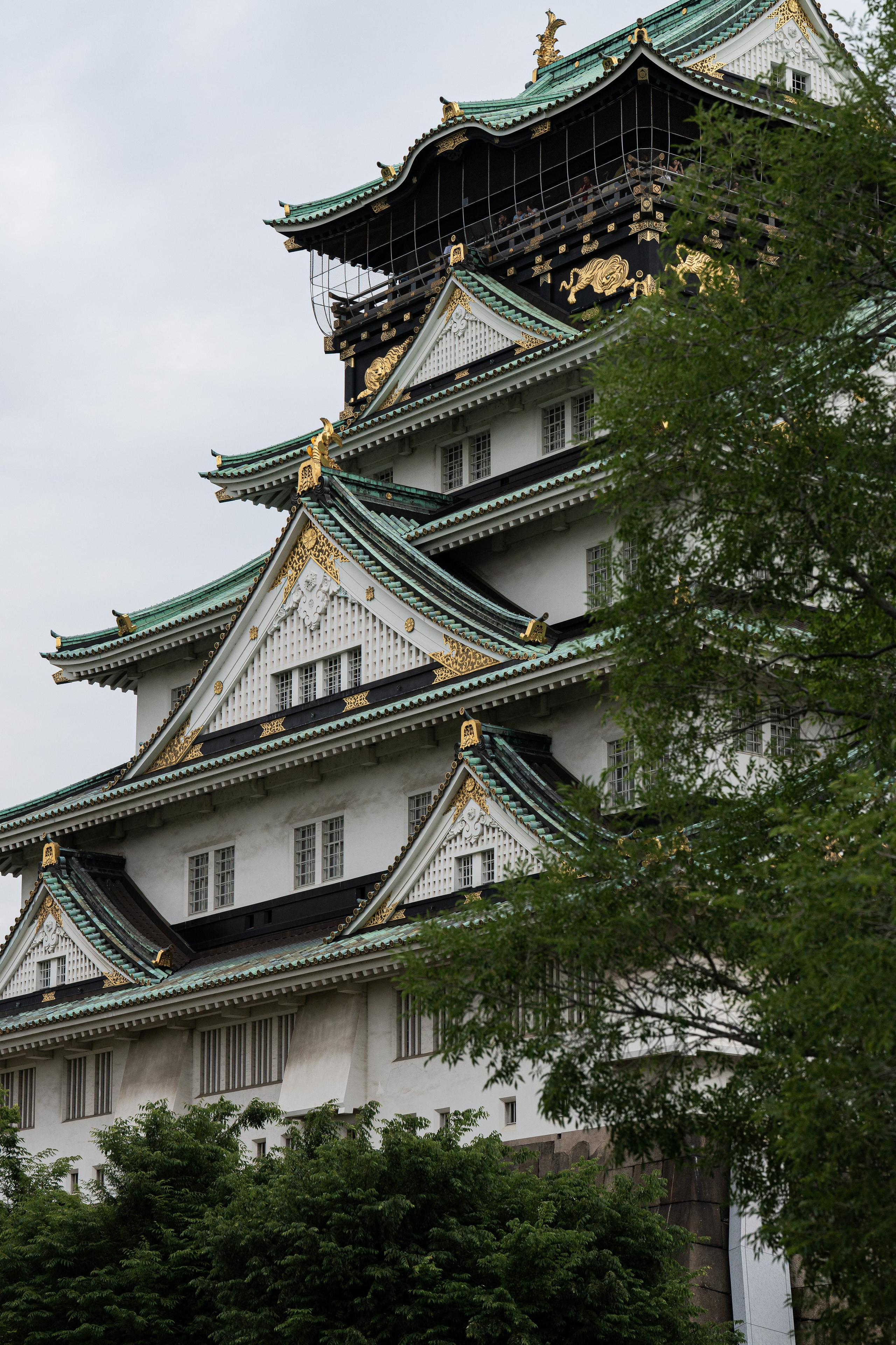 Пейзажи. Плеханов Вадим фотограф Санкт-Петербург, концерты, корпоративы, спорт