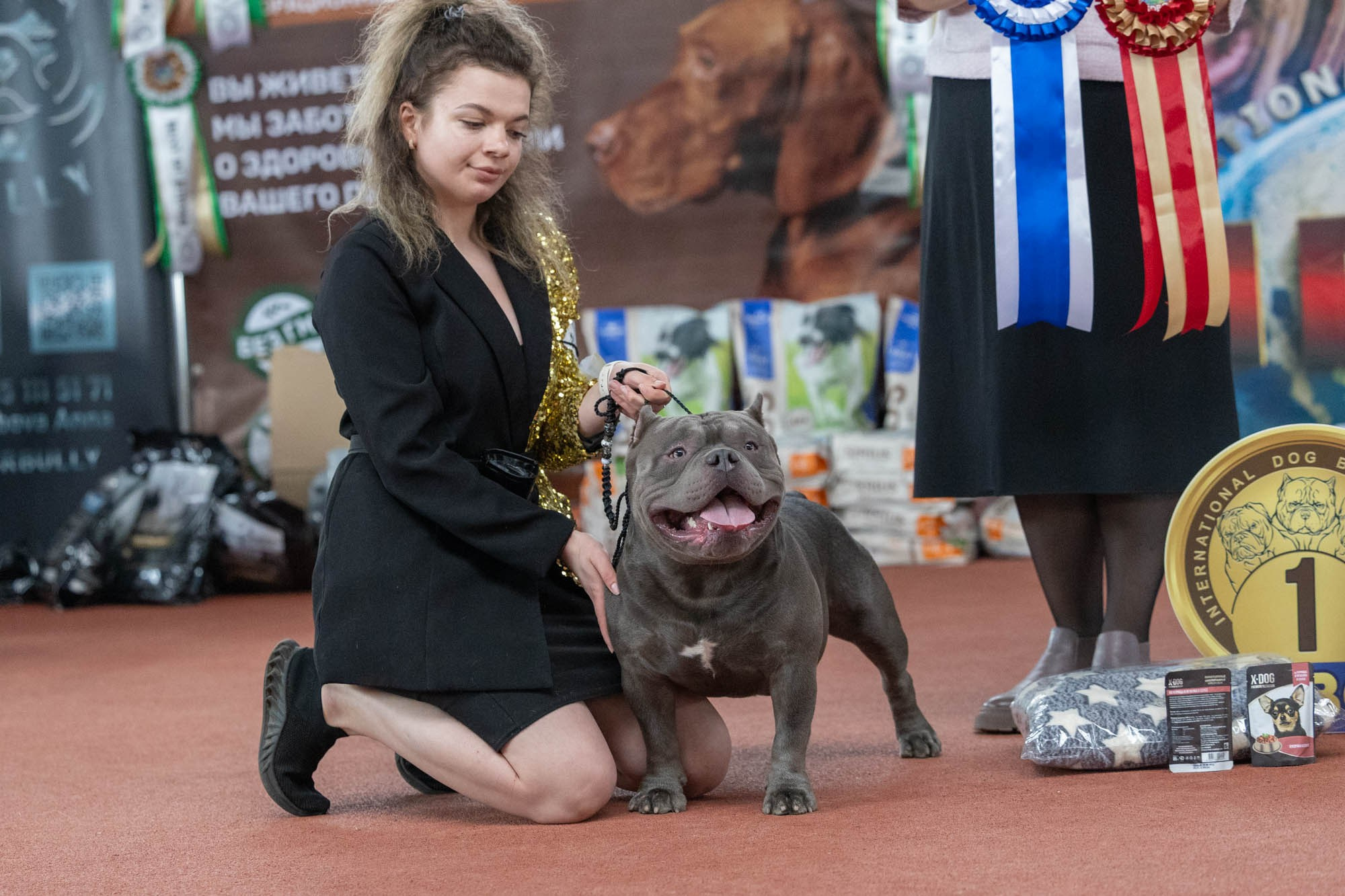 IDBC. Виктория Михайловская. Фотограф-анималист. Москва