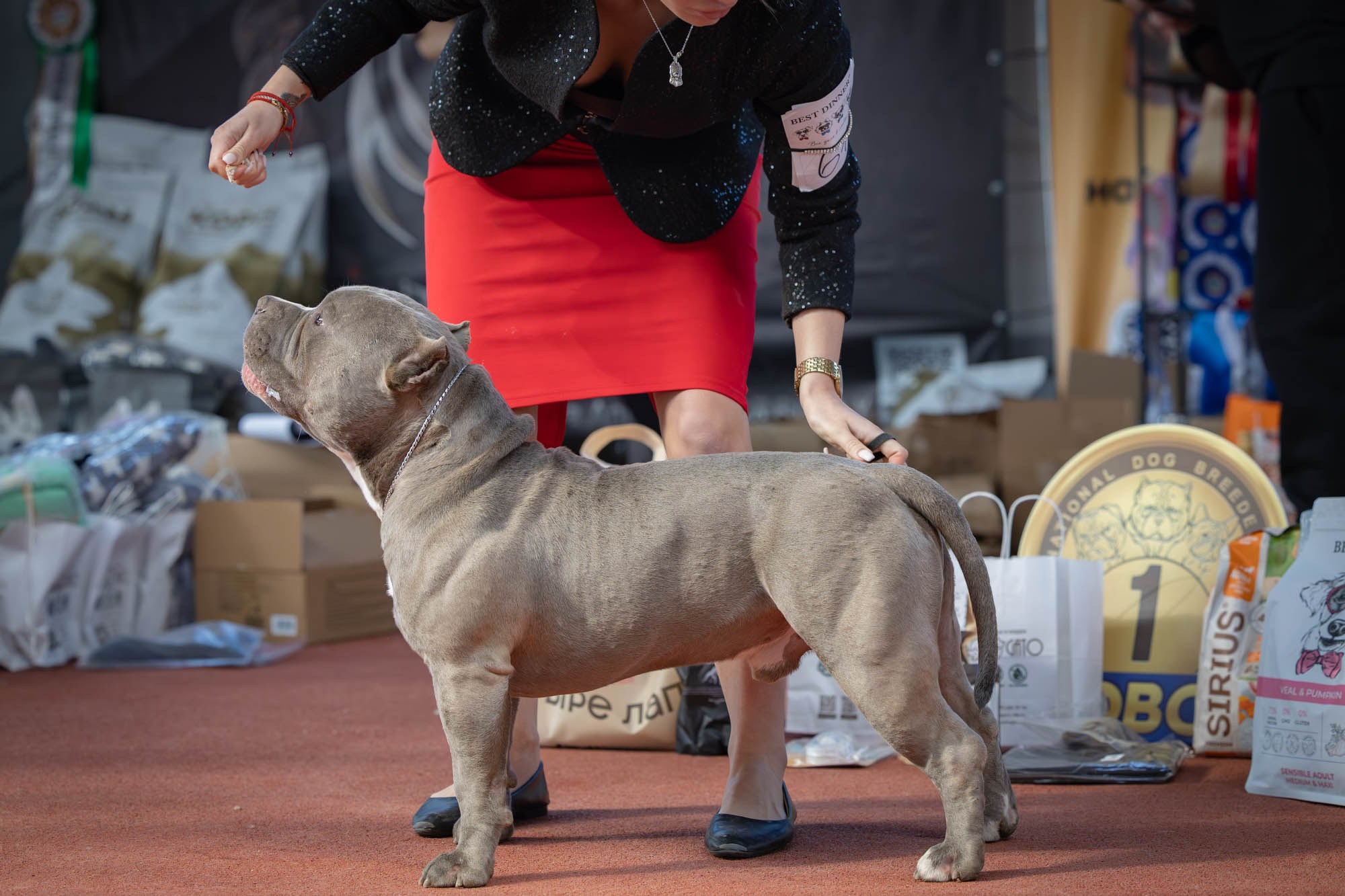 IDBC. Виктория Михайловская. Фотограф-анималист. Москва