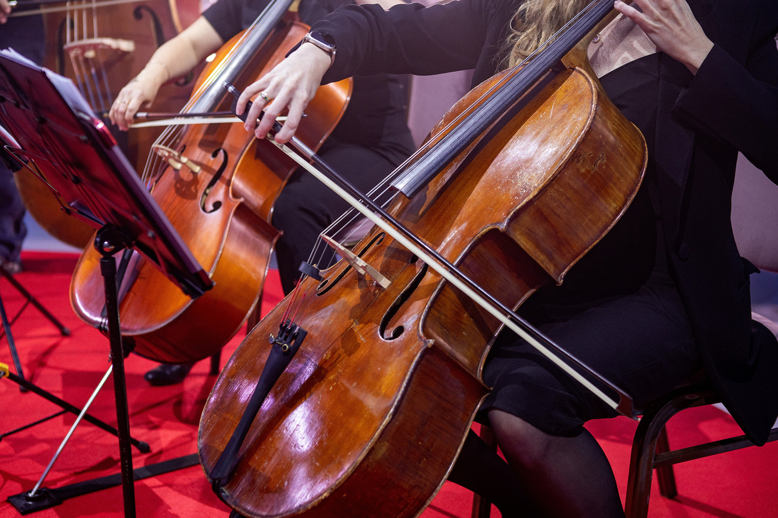 БКС УЛЬТИМА. Фотограф в Челябинске Антон Акулов