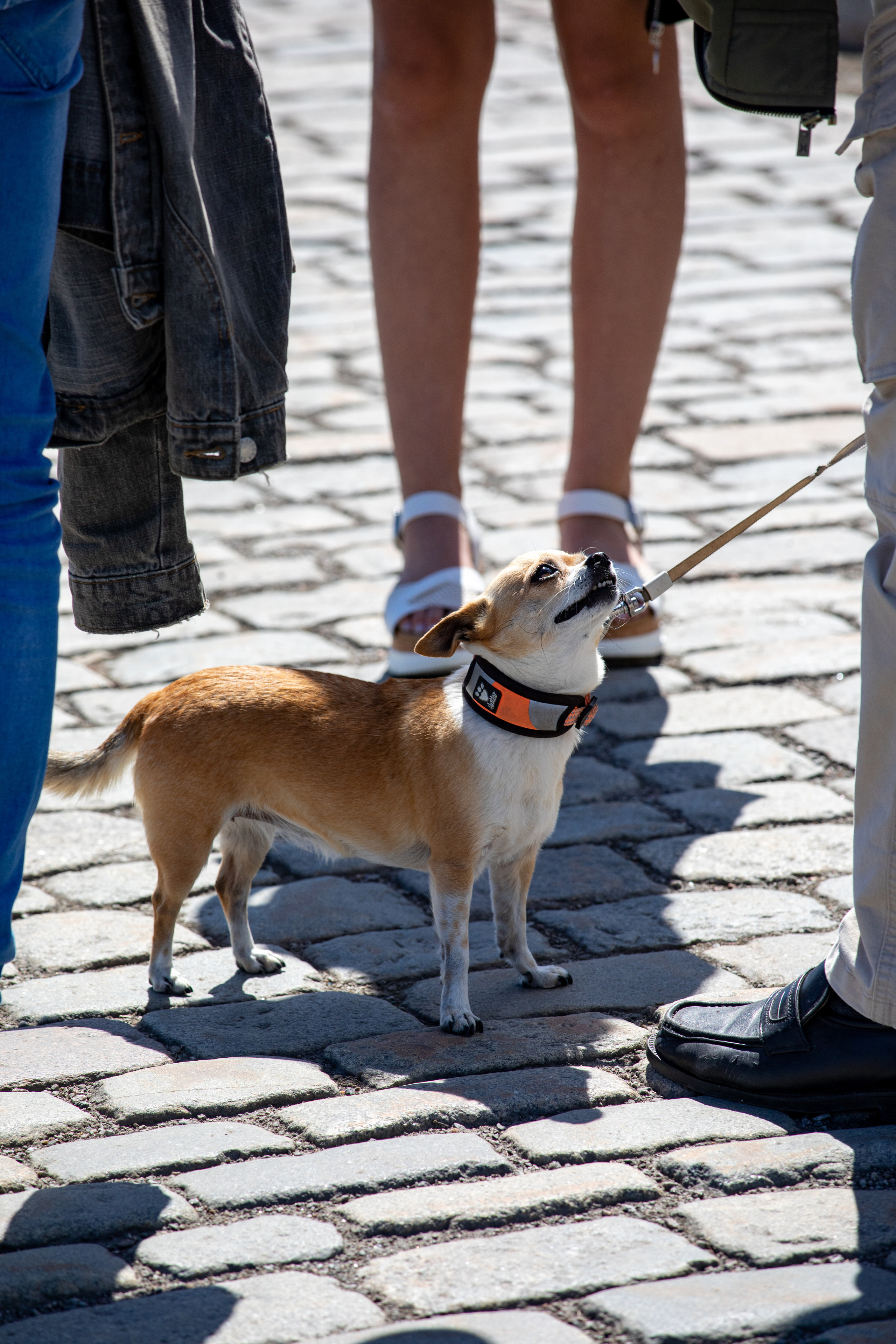 Sweden, Stockholm. Воройская Анна