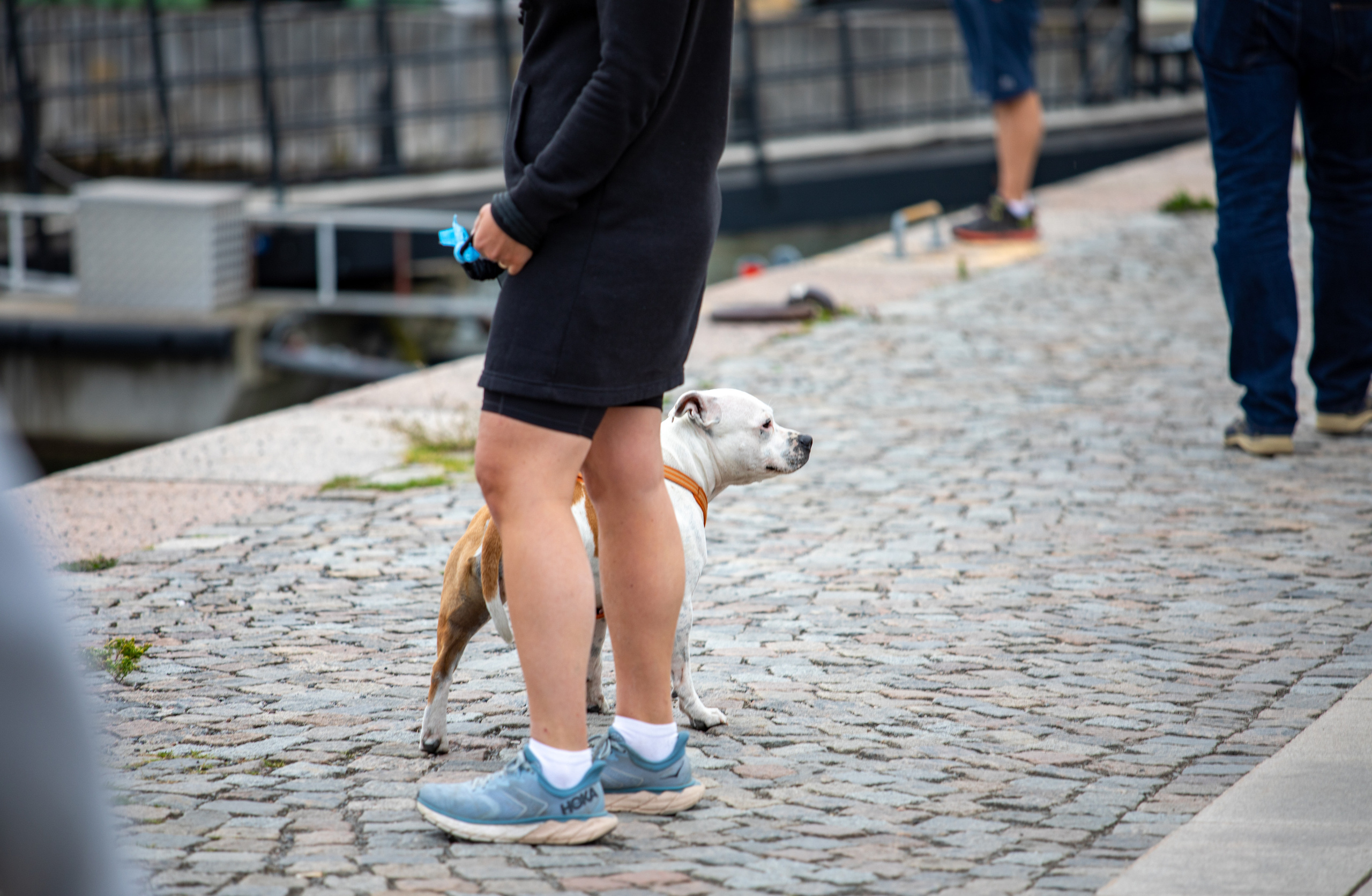 Sweden, Stockholm. Воройская Анна