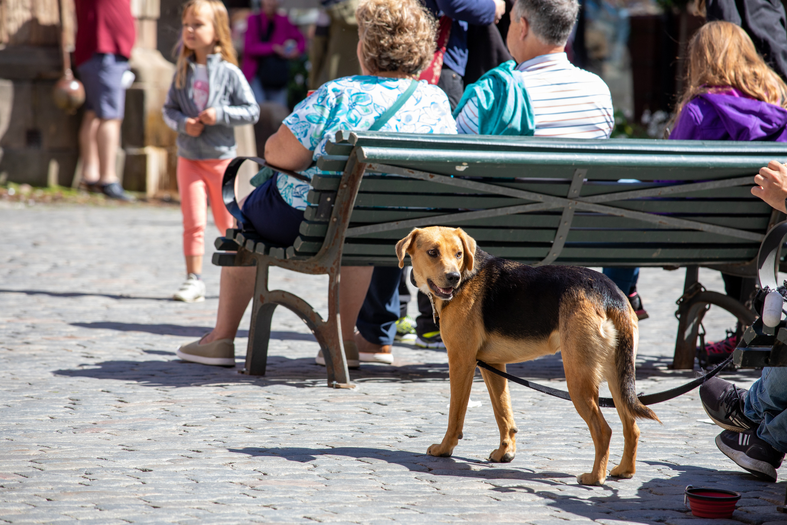Sweden, Stockholm. Воройская Анна