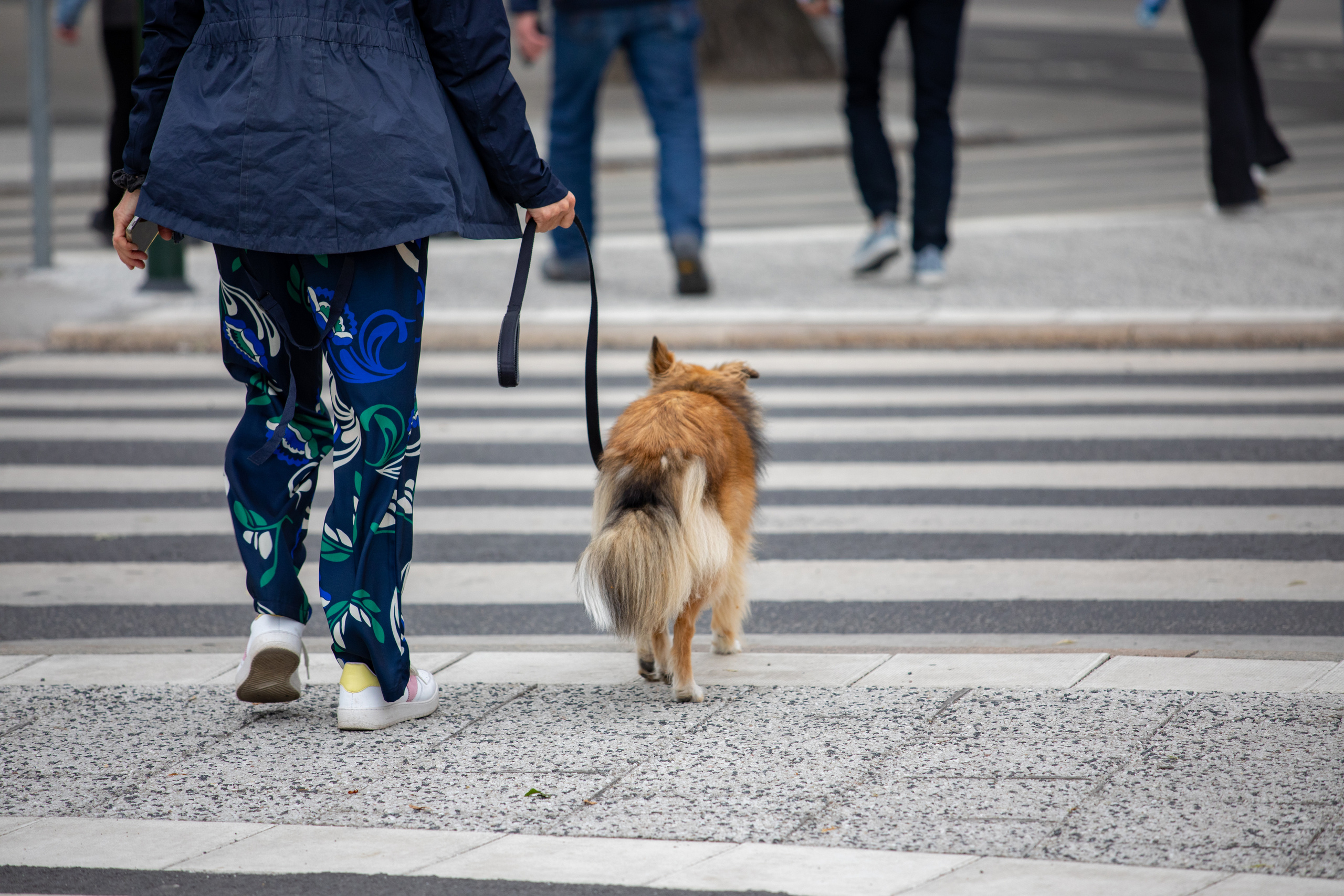 Sweden, Stockholm. Воройская Анна