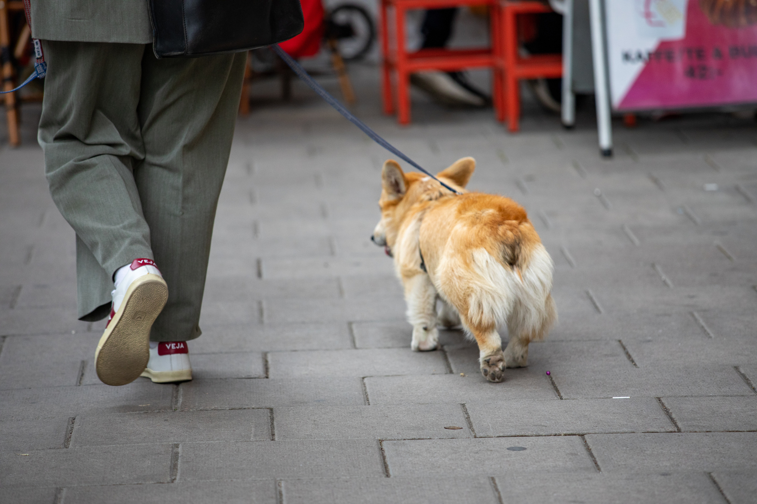 Sweden, Stockholm. Воройская Анна