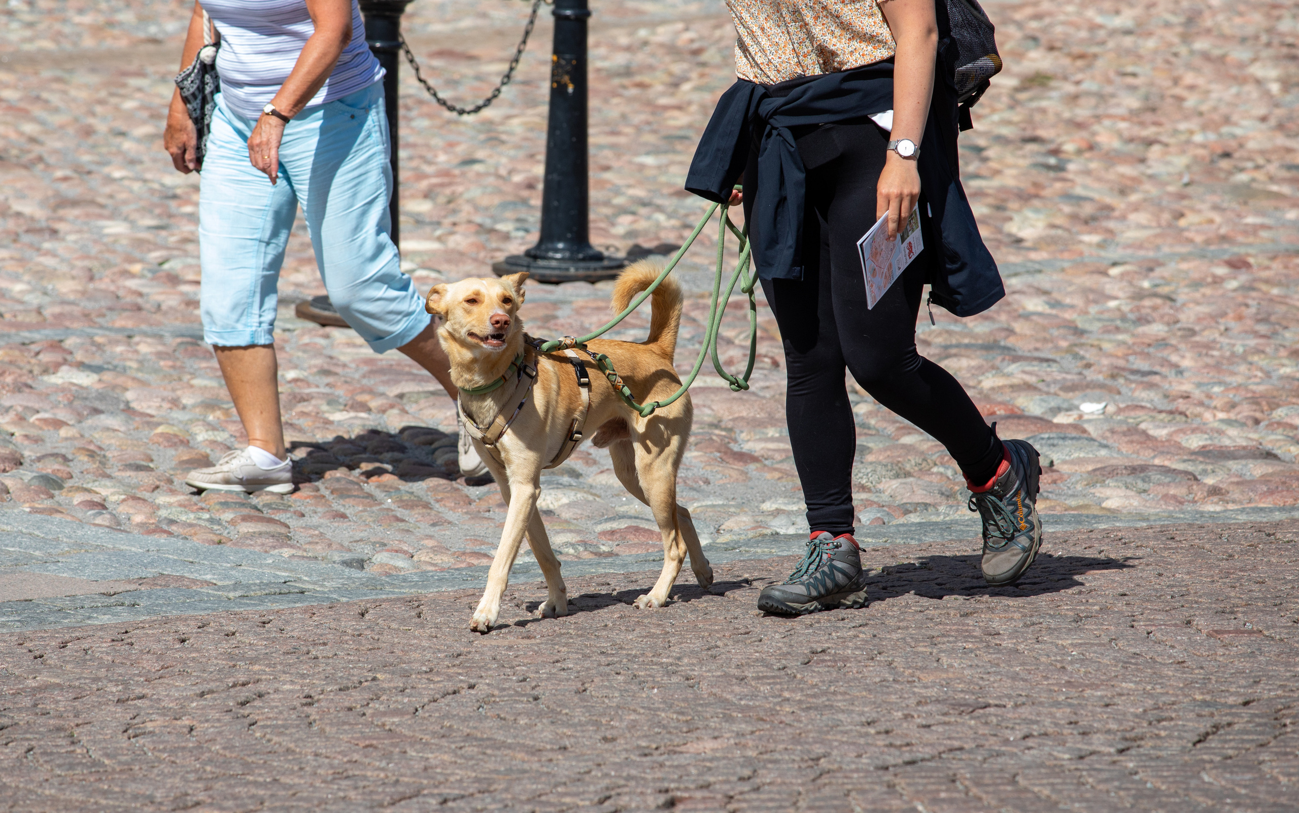 Sweden, Stockholm. Воройская Анна