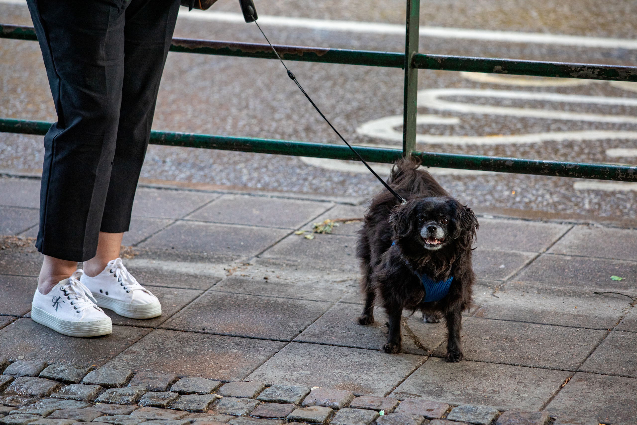 Sweden, Stockholm. Воройская Анна