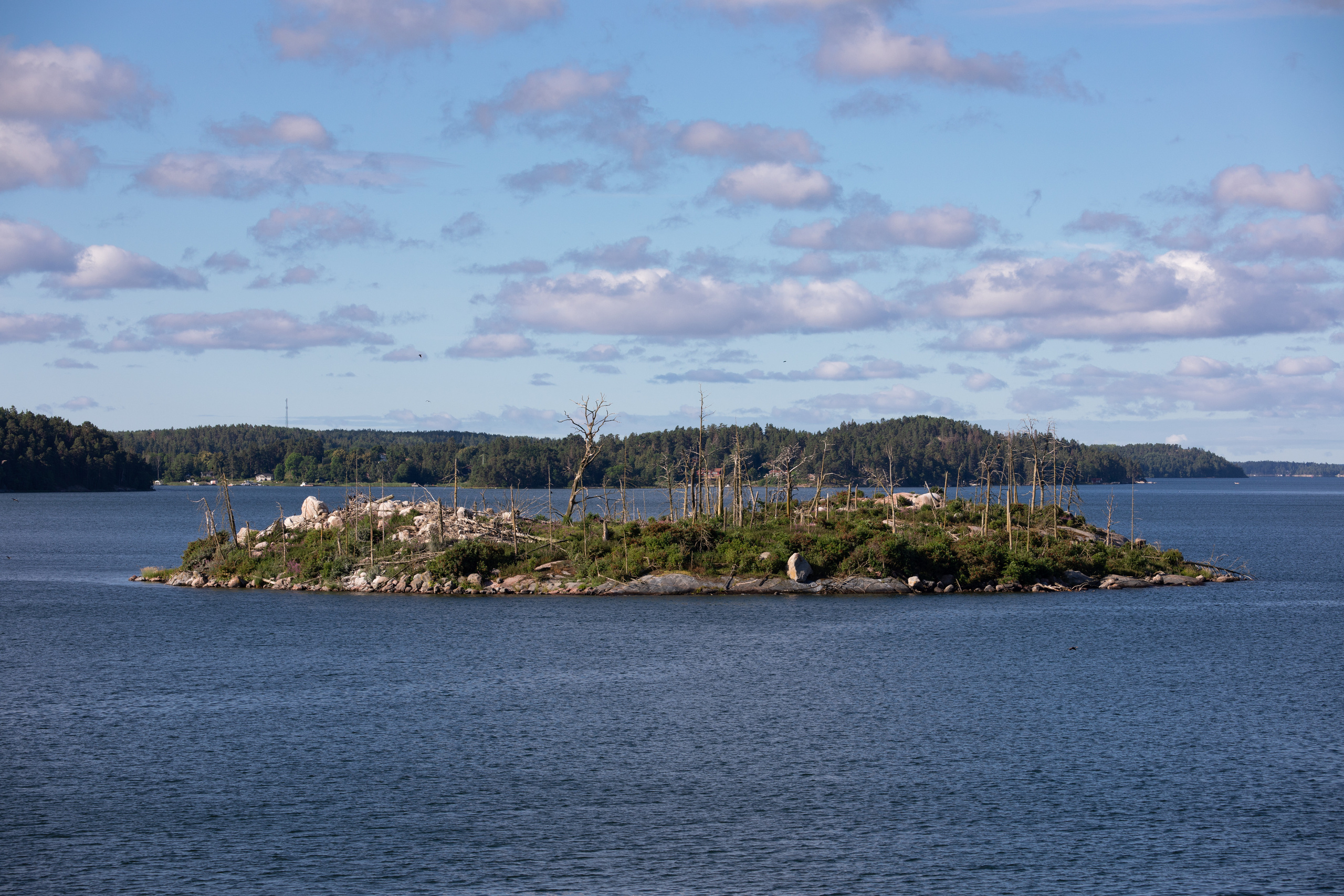 Sweden, Stockholm. Воройская Анна