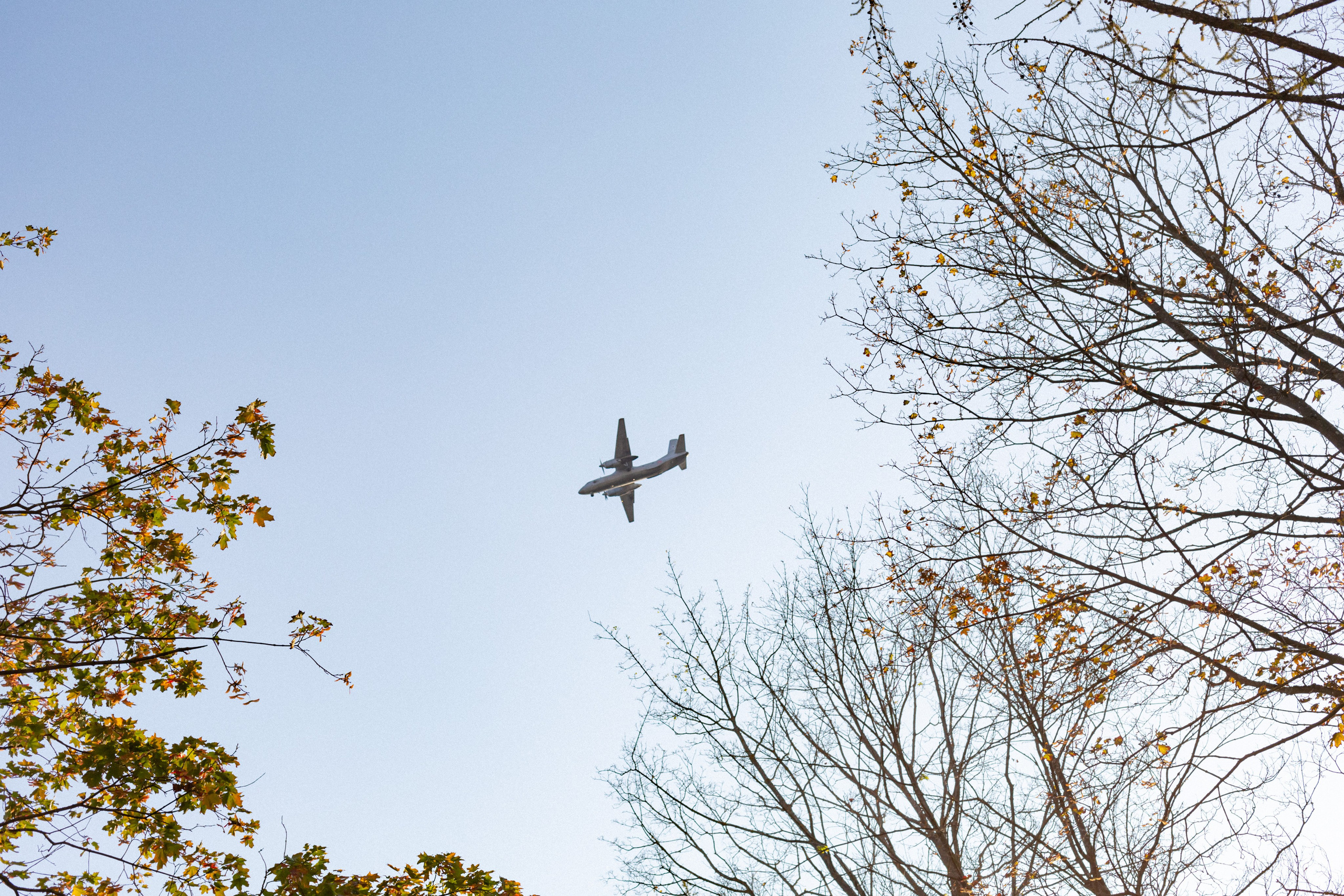 Мужской портрет. Ekaterina Beridze