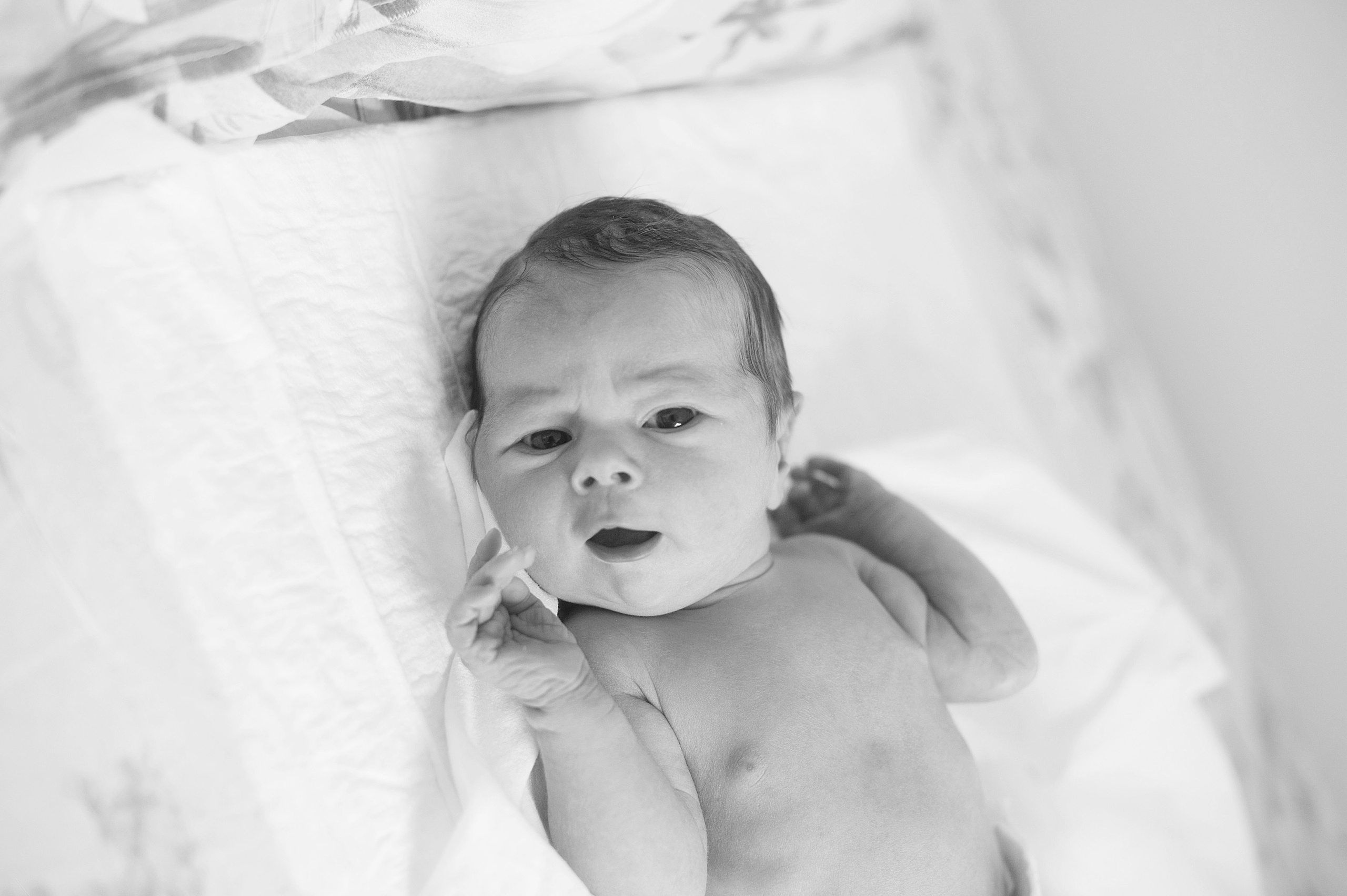 РОДДОМ. Фотограф Вера Демидкова