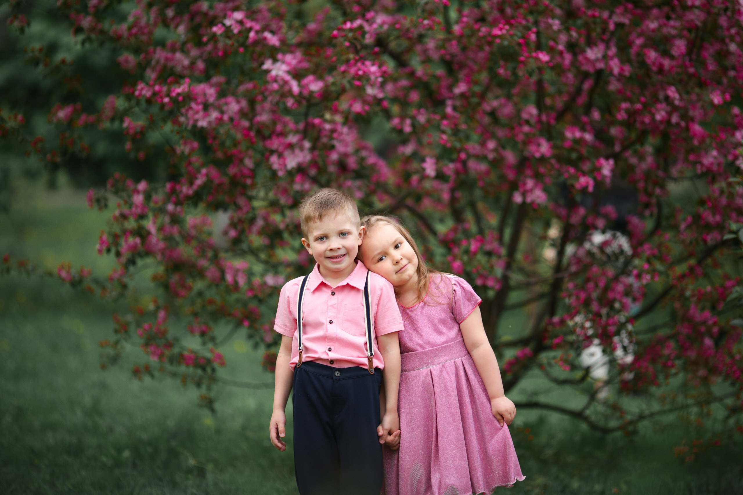 Фотосессия в цветущих яблоневых садах. Свадебный и репортажный фотограф (Москва, Королев и другие)