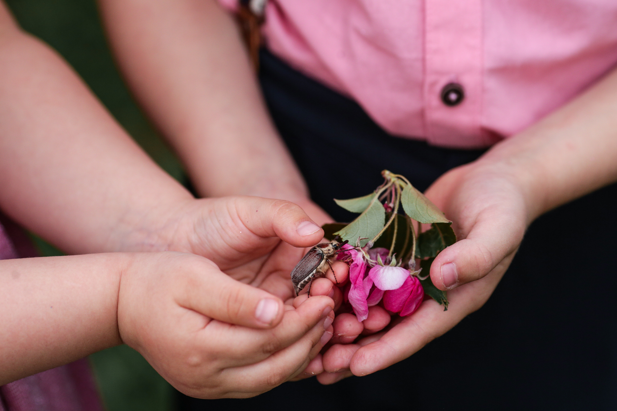 Фотосессия в цветущих яблоневых садах. Свадебный и репортажный фотограф (Москва, Королев и другие)